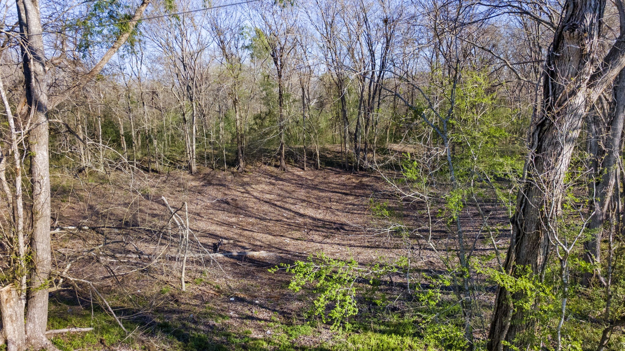 3979 Felder Road Washington, TX 77880 - Photo 8 of 14