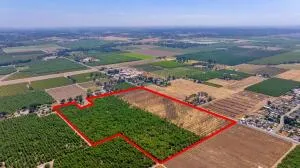 a view of a pathway with a garden