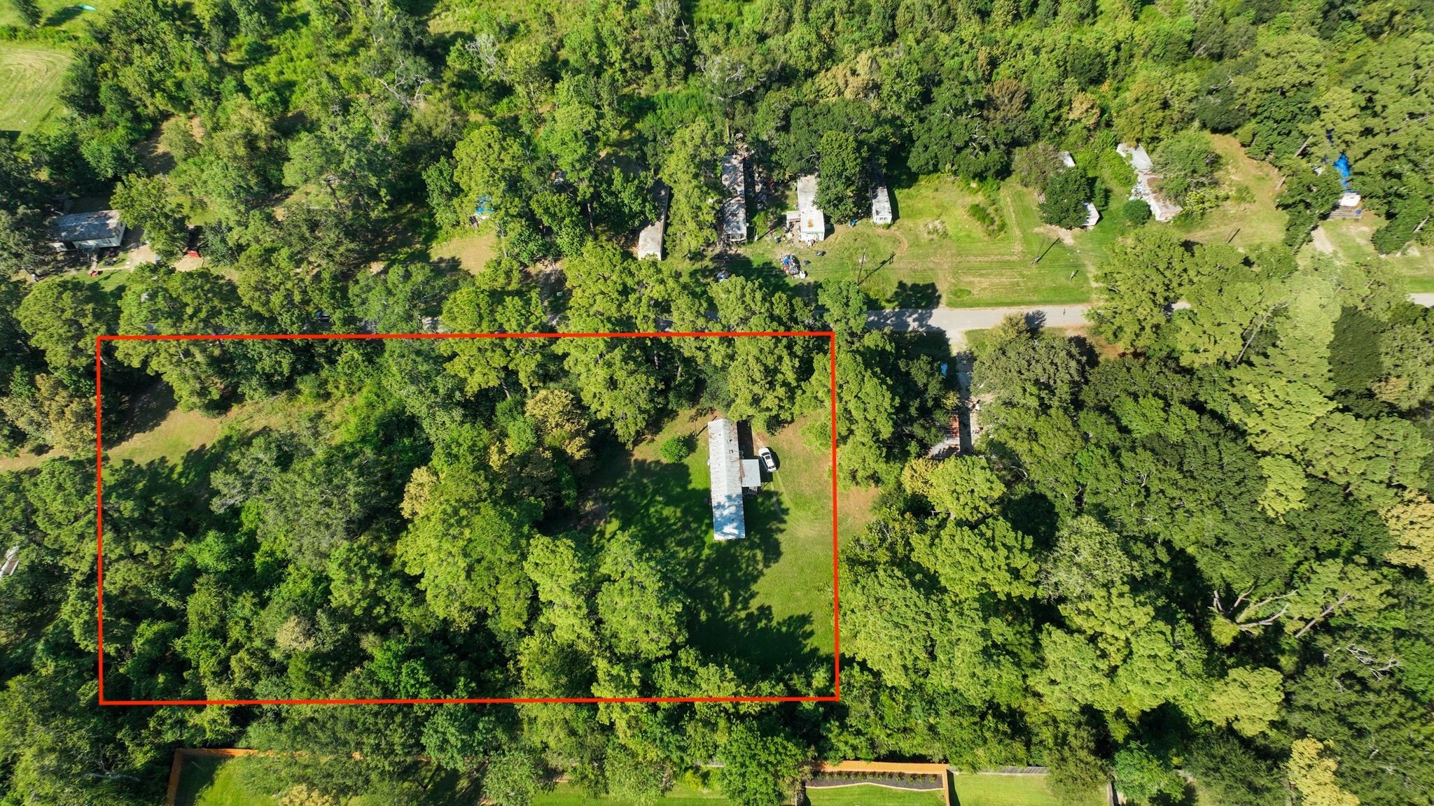 19652 Ceal Road Porter, TX 77365 - Photo 3 of 10 a view of a garden with plants