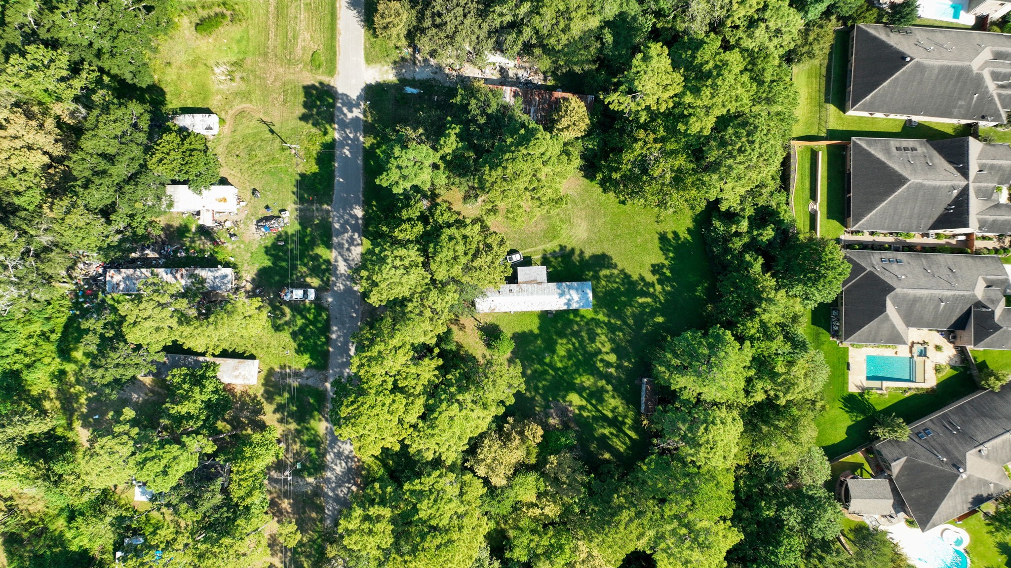 19652 Ceal Road Porter, TX 77365 - Photo 6 of 10 a view of a garden with plants