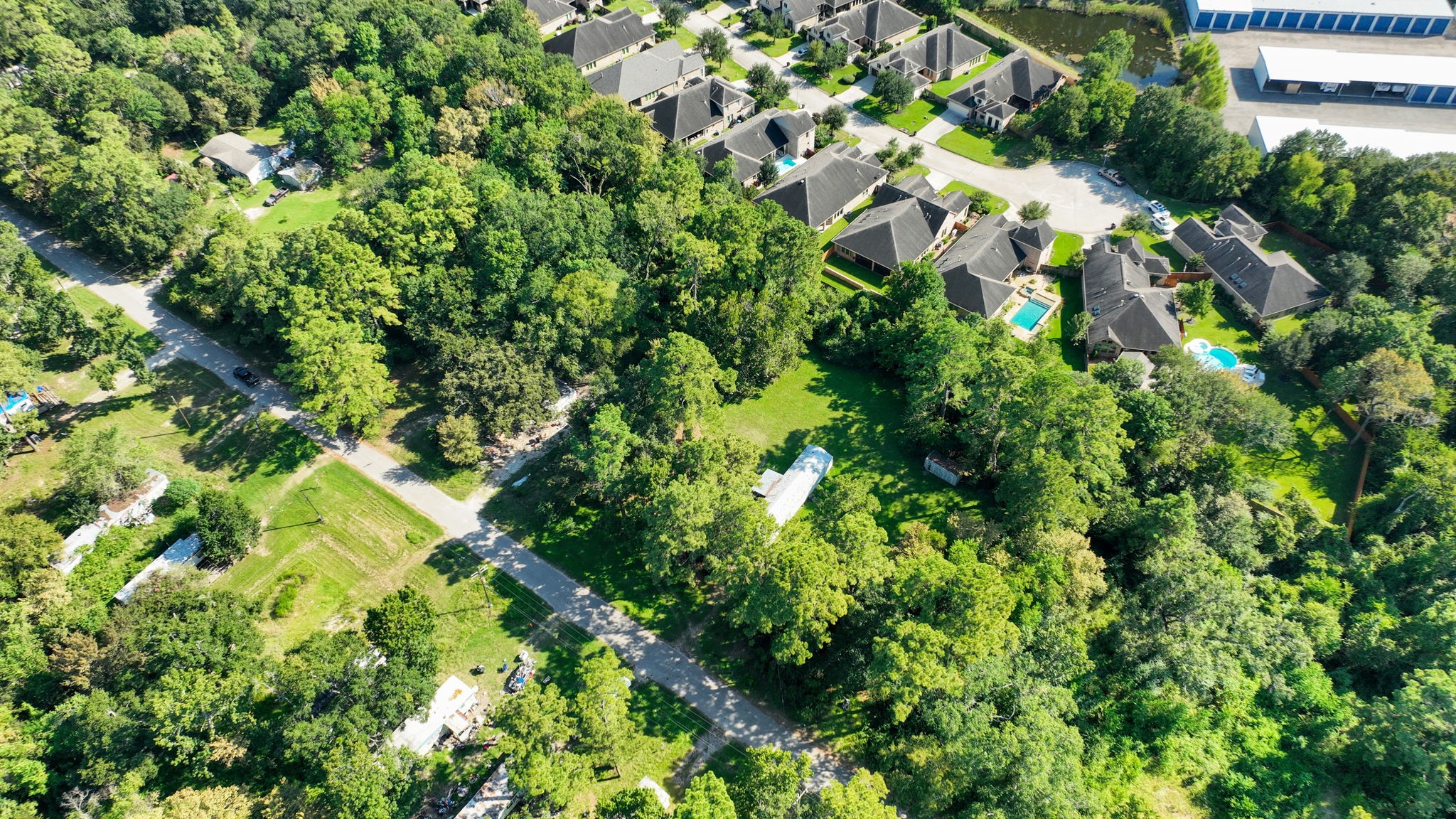 19652 Ceal Road Porter, TX 77365 - Photo 8 of 10 a close up of a plant