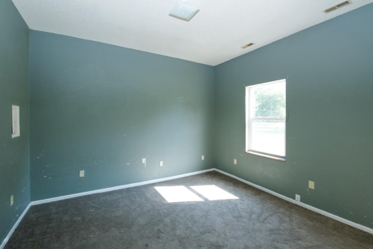 45161 Paw Paw Road Paw Paw, MI 49079 - Photo 8 of 15 45161 Paw Paw Rd-108