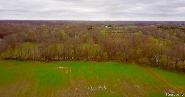 0 Iosco Road Webberville, MI 48836 - Photo 8 of 9