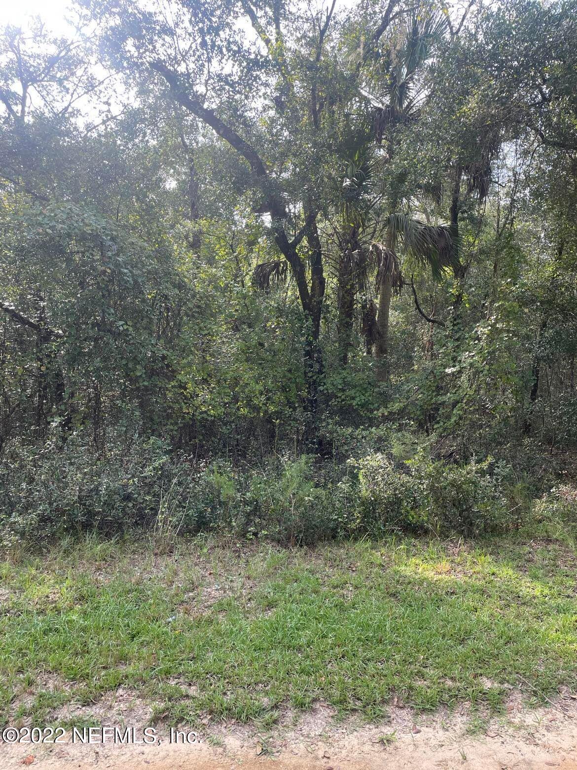 121 Phillips Road Florahome, FL 32140 - Photo 2 of 10 Property facing front