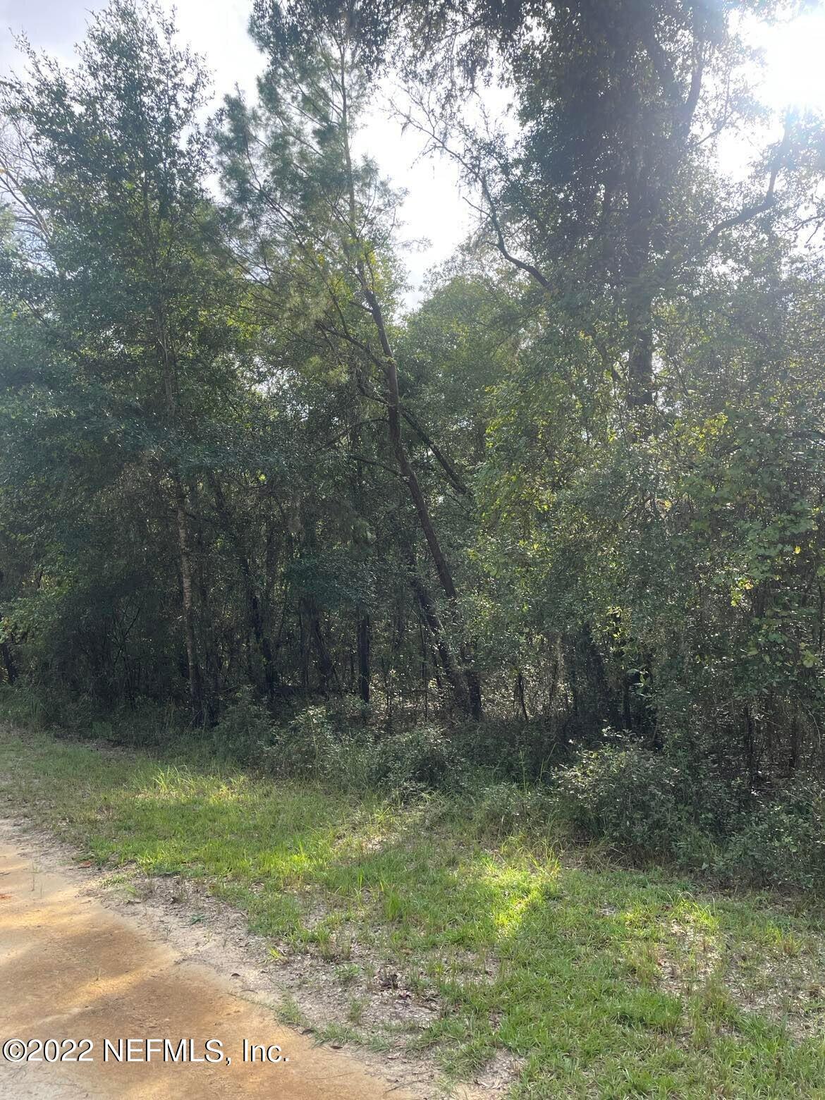 121 Phillips Road Florahome, FL 32140 - Photo 5 of 10 Property4