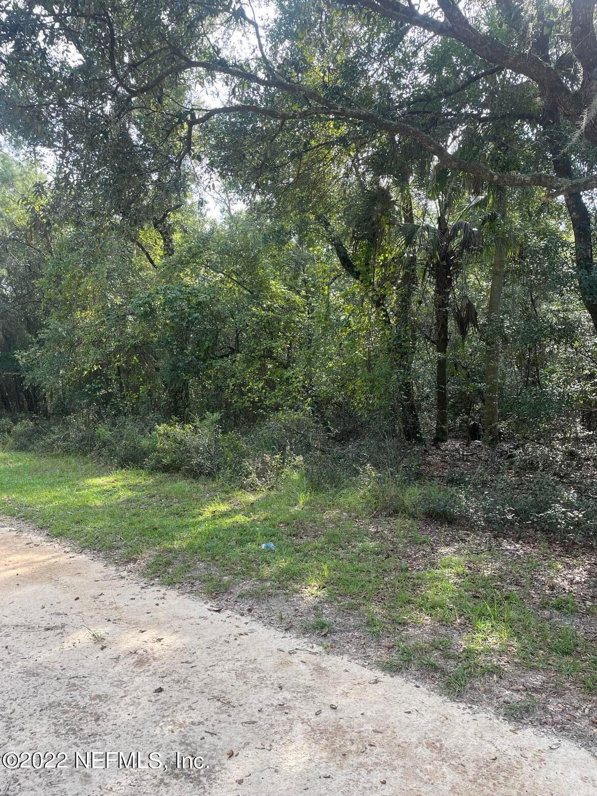 121 Phillips Road Florahome, FL 32140 - Photo 6 of 10 Property5