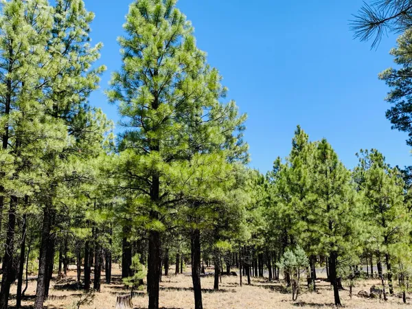 $57,500 | 2185 Pine Canyon Drive, Happy Jack, AZ 86024
