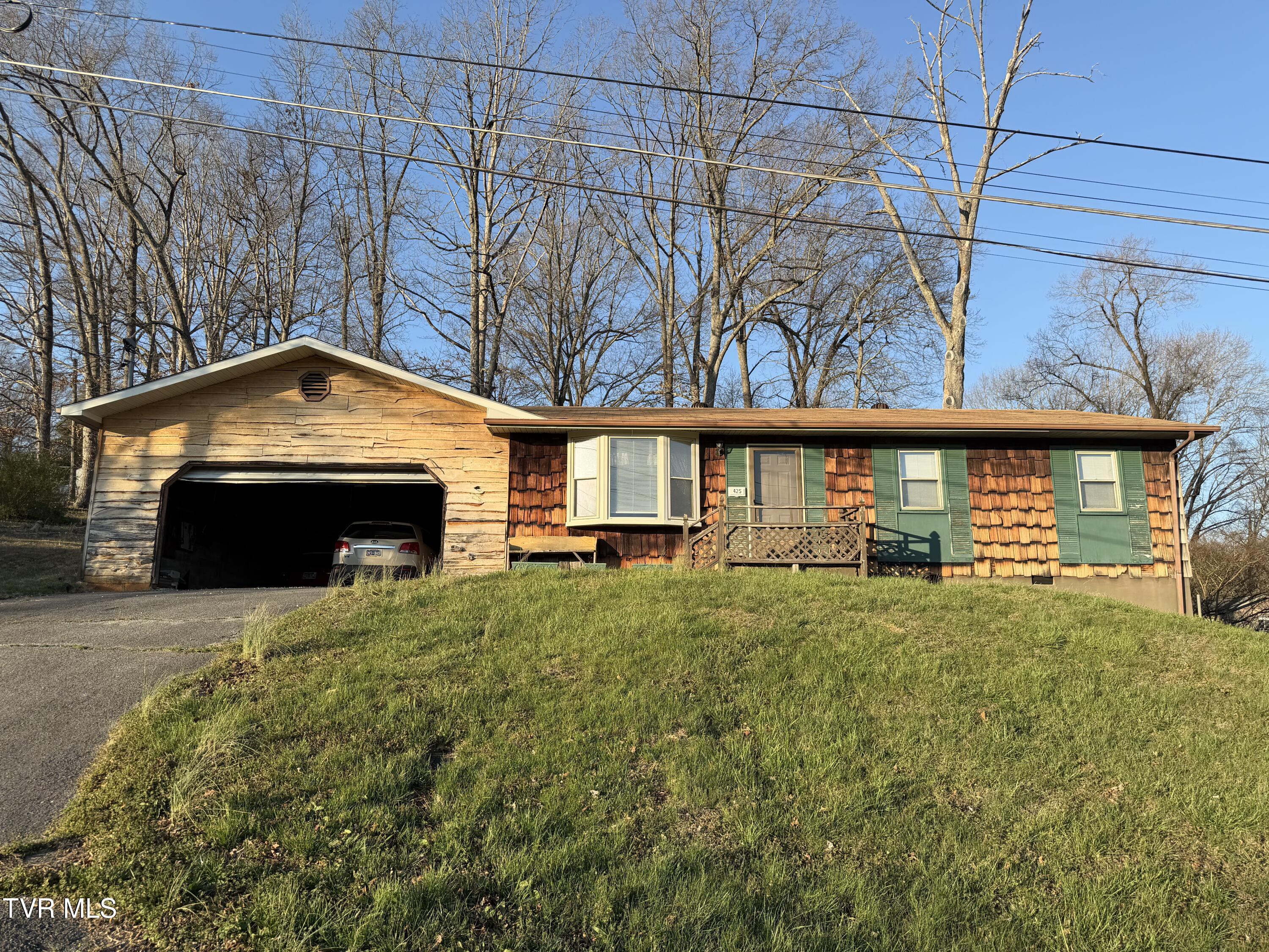 425 Buttermilk Road Gray, TN 37615 - Photo 1 of 39 IMG_7069