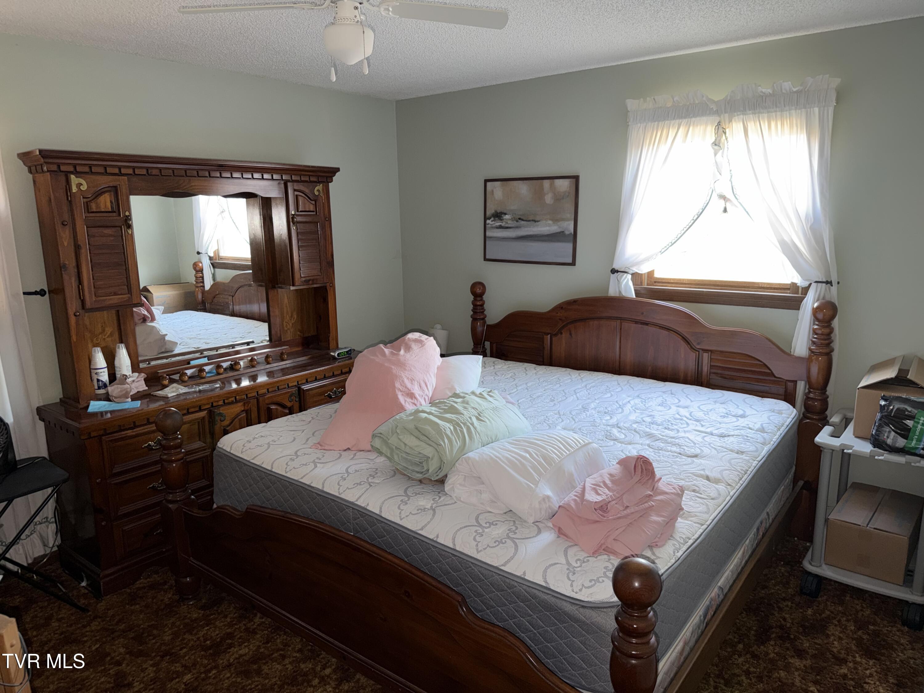 425 Buttermilk Road Gray, TN 37615 - Photo 21 of 39 IMG_7131