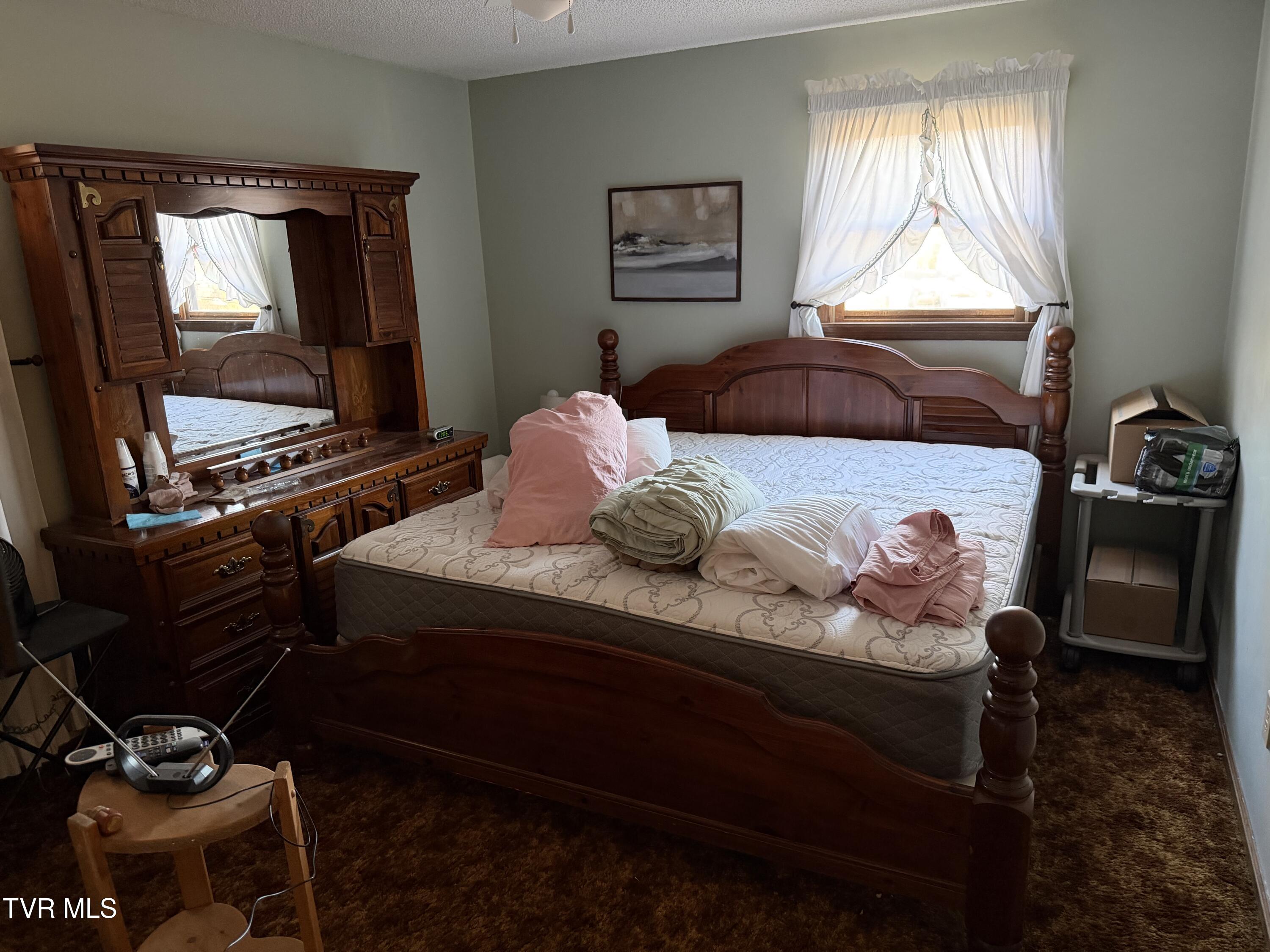 425 Buttermilk Road Gray, TN 37615 - Photo 22 of 39 IMG_7133