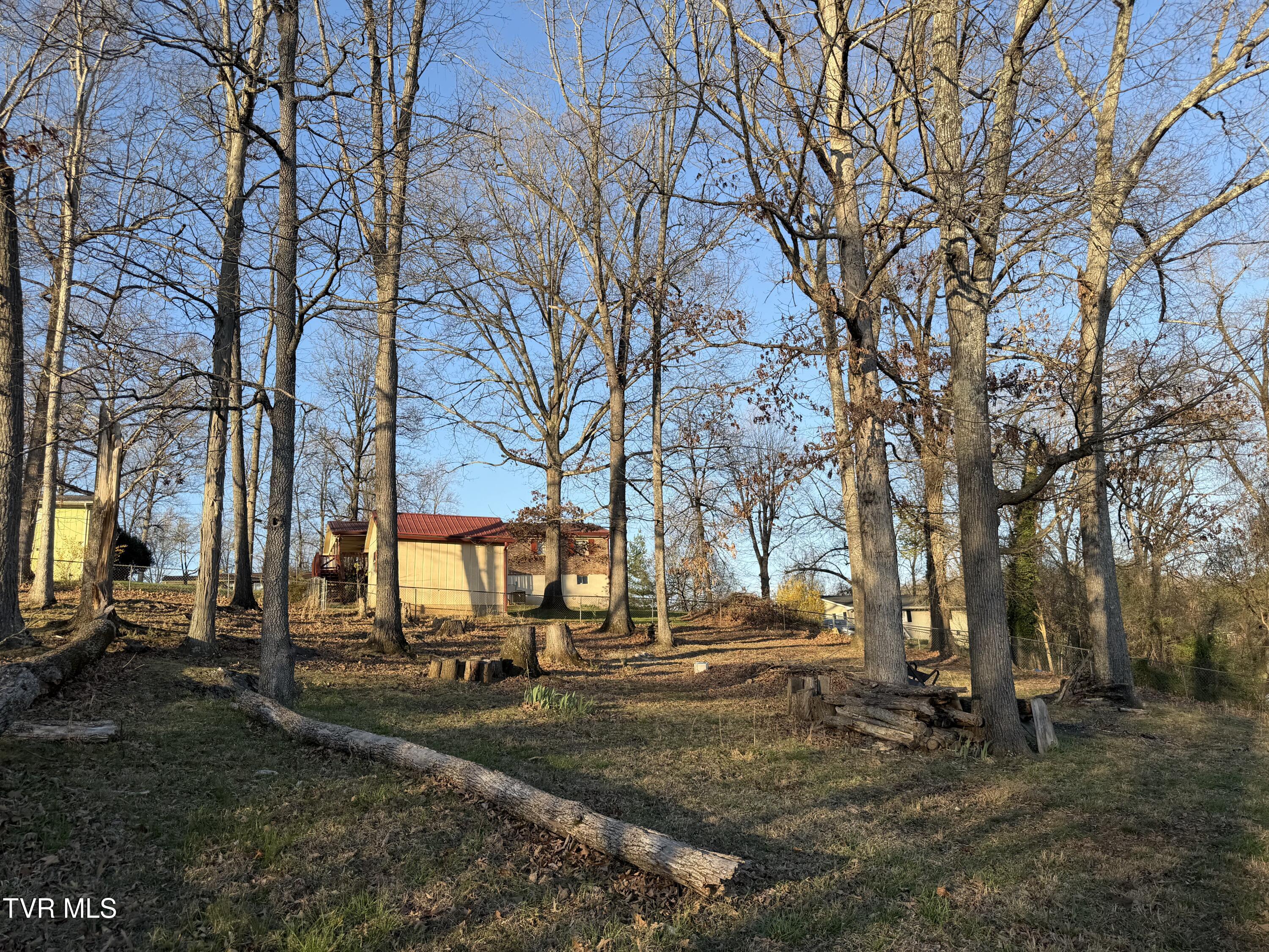 425 Buttermilk Road Gray, TN 37615 - Photo 37 of 39 IMG_7081