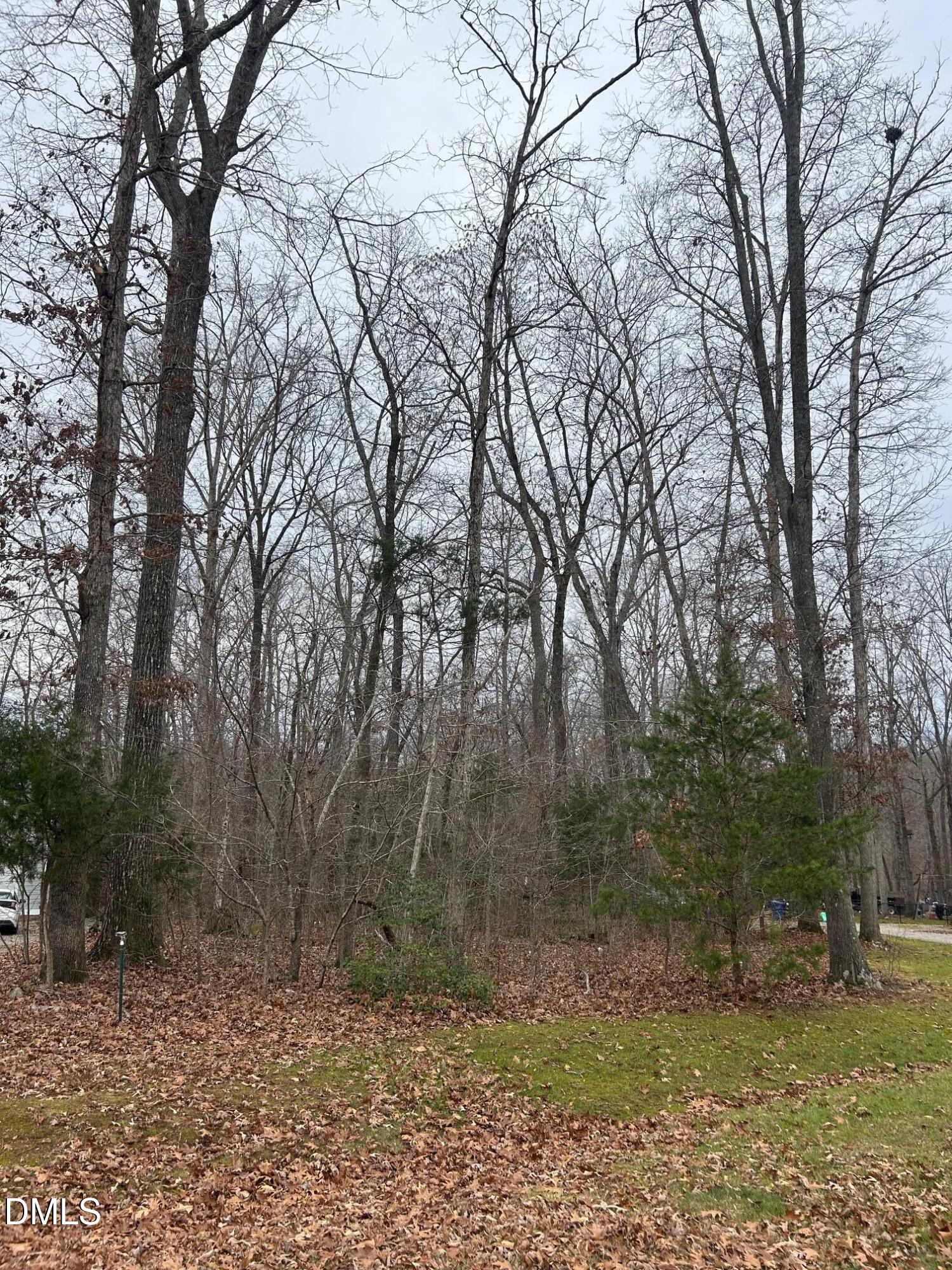 0 Weaver Ridge Road Rougemont, NC 27572 - Photo 7 of 8 a backyard of a house with lots of trees