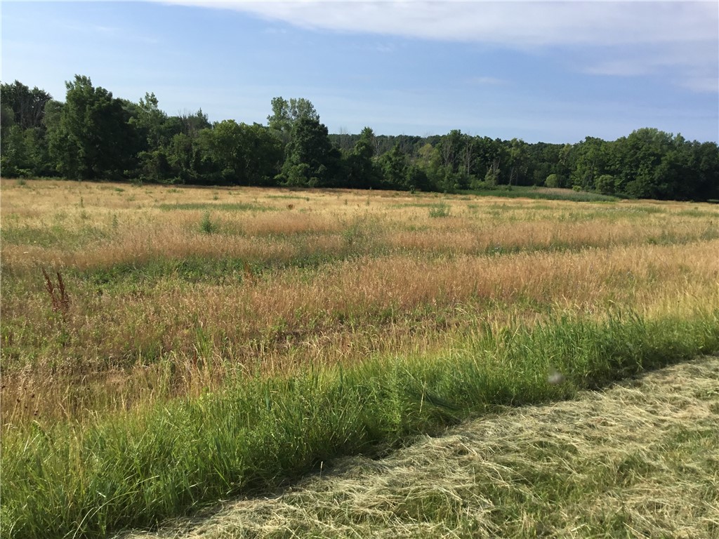 7830 Buffalo Road Riga, NY 14416 - Photo 1 of 1 Gallery Image 1