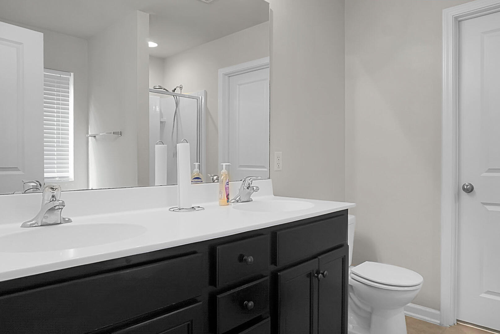 9754 Seed Street Ladson, SC 29456 - Photo 24 of 35 DSC07554