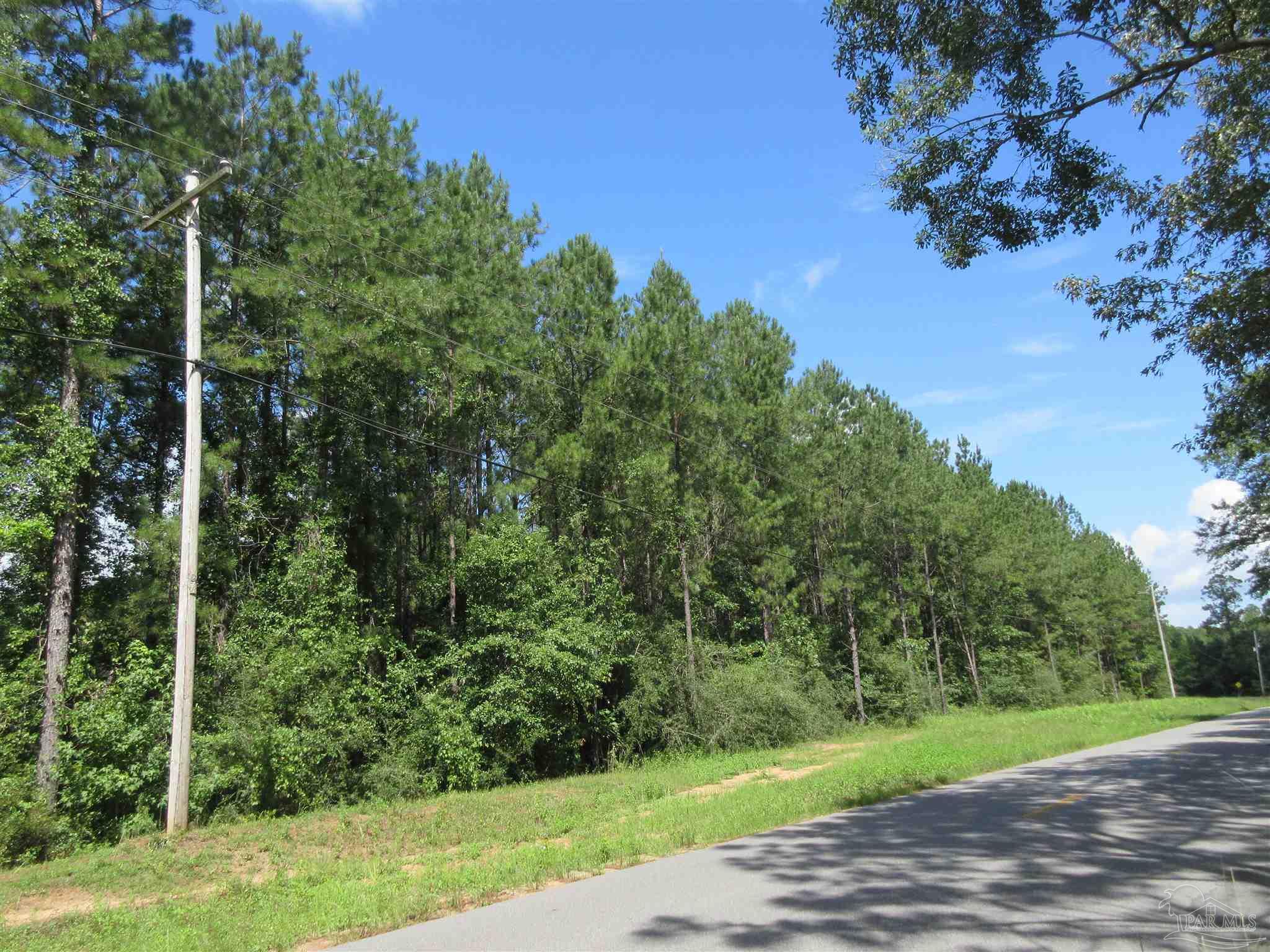 9941 Chumuckla Springs Road Jay, FL 32565 - Photo 1 of 30