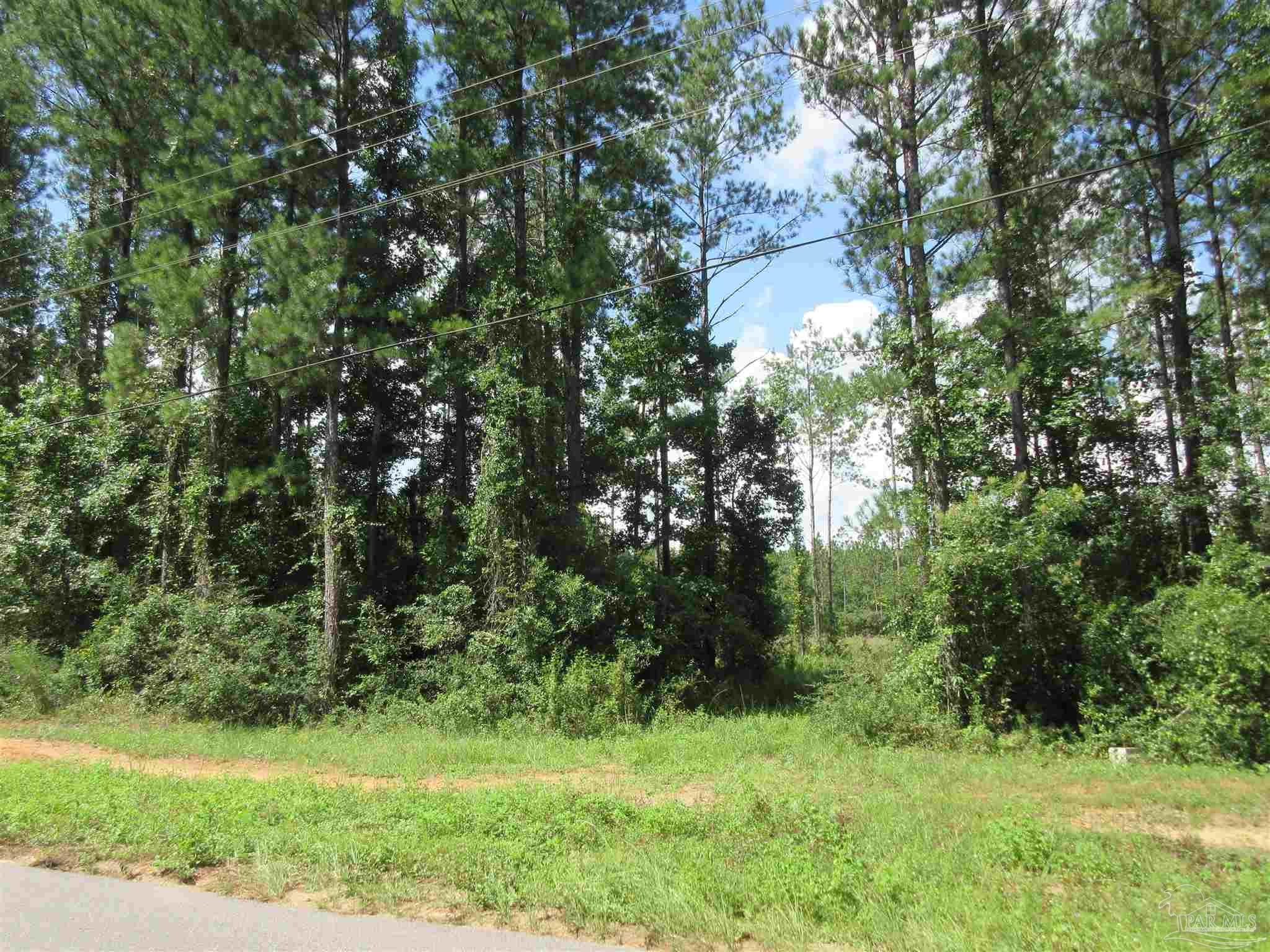 9941 Chumuckla Springs Road Jay, FL 32565 - Photo 13 of 30
