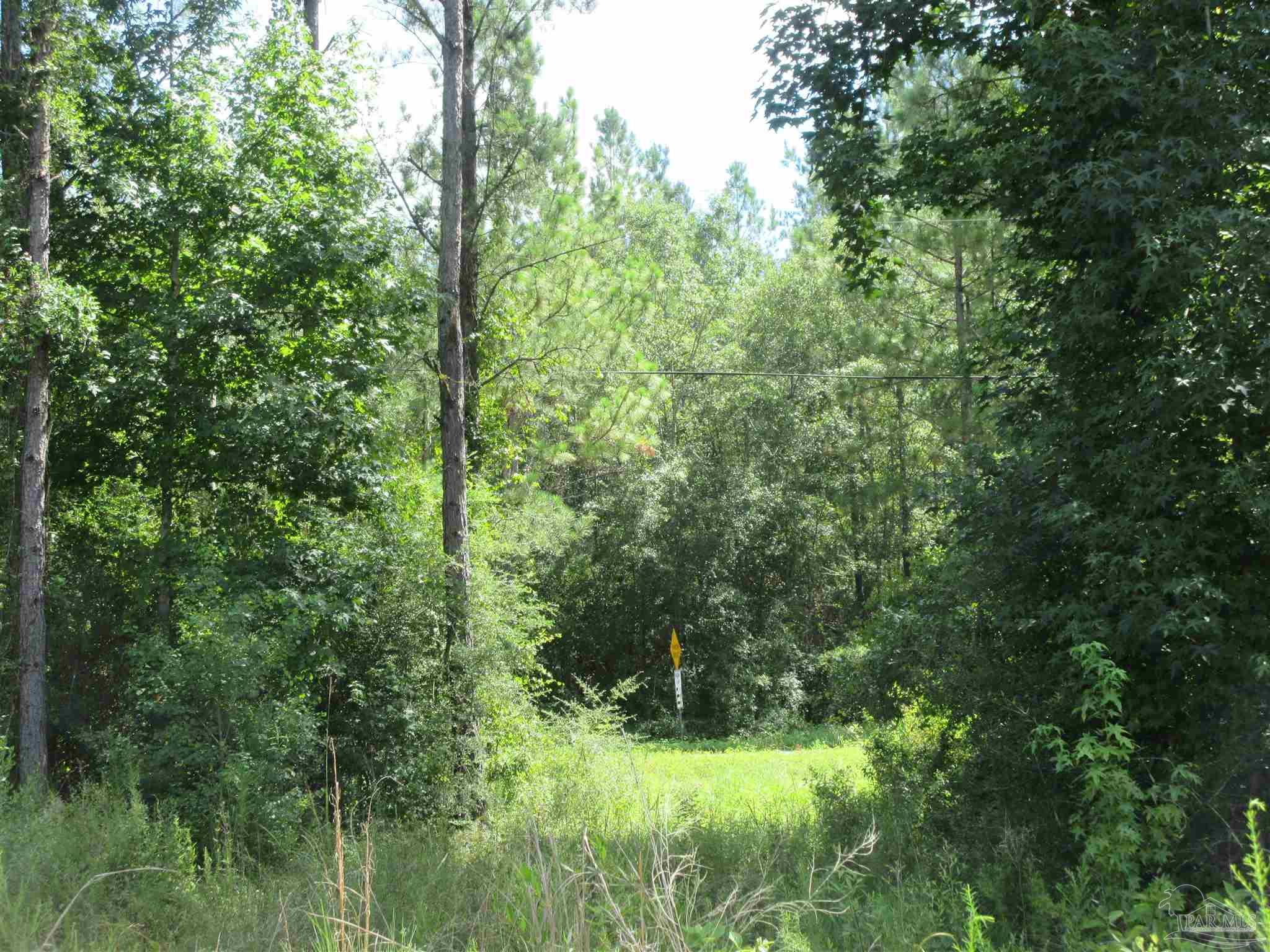 9941 Chumuckla Springs Road Jay, FL 32565 - Photo 15 of 30
