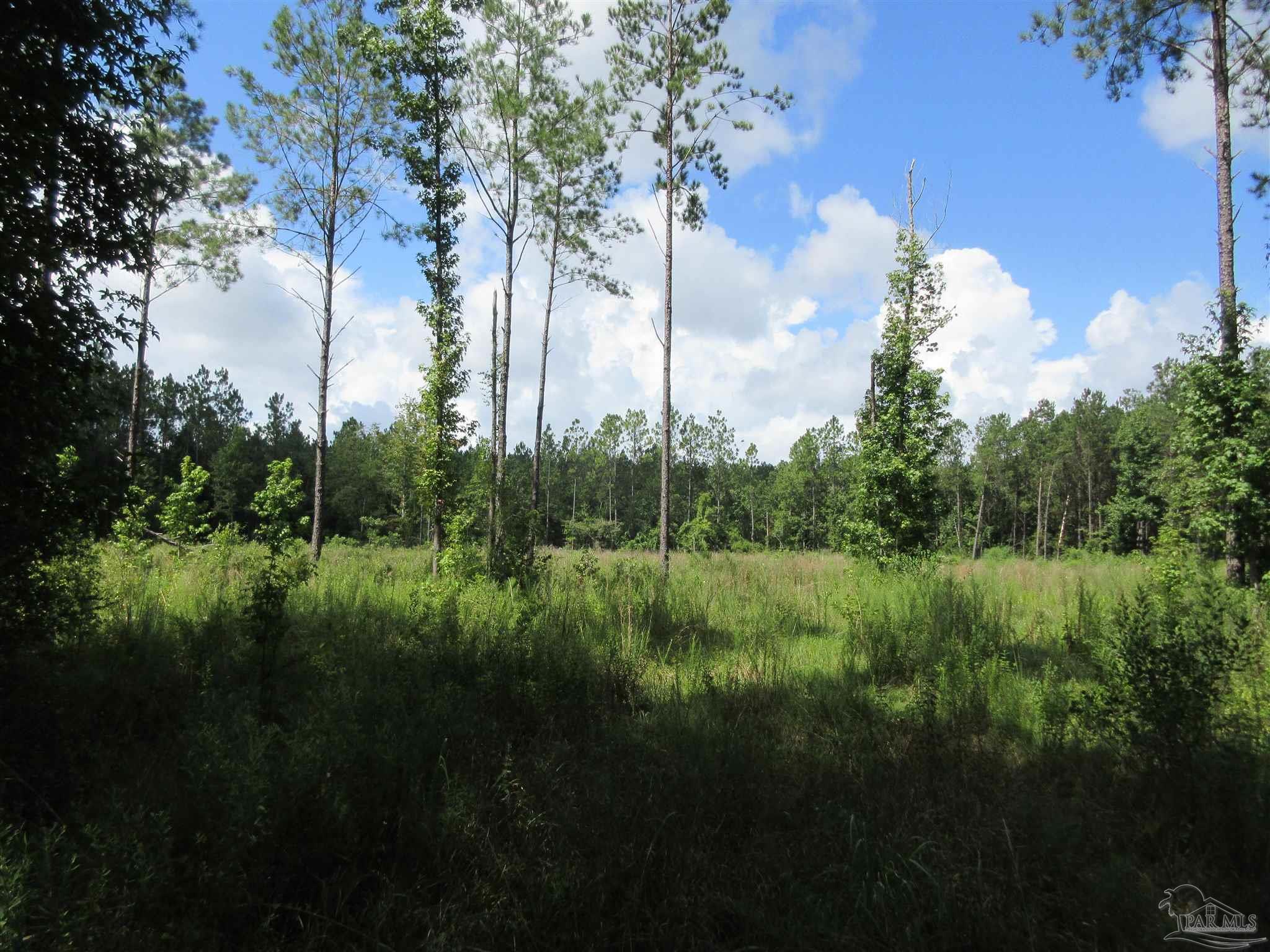 9941 Chumuckla Springs Road Jay, FL 32565 - Photo 16 of 30