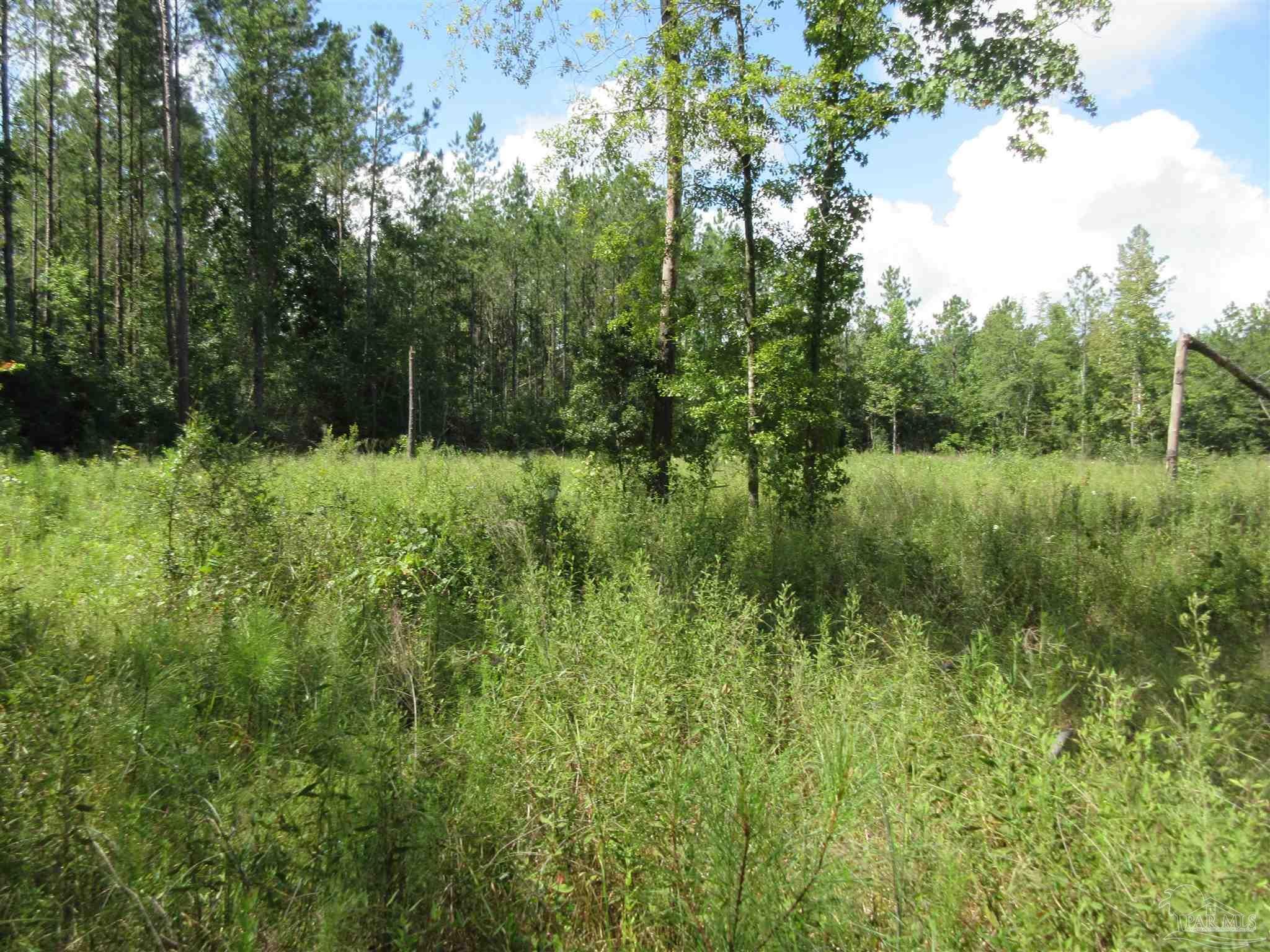 9941 Chumuckla Springs Road Jay, FL 32565 - Photo 17 of 30