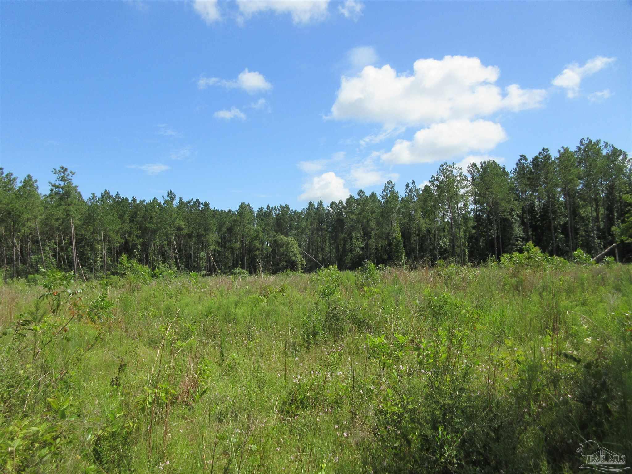 9941 Chumuckla Springs Road Jay, FL 32565 - Photo 20 of 30
