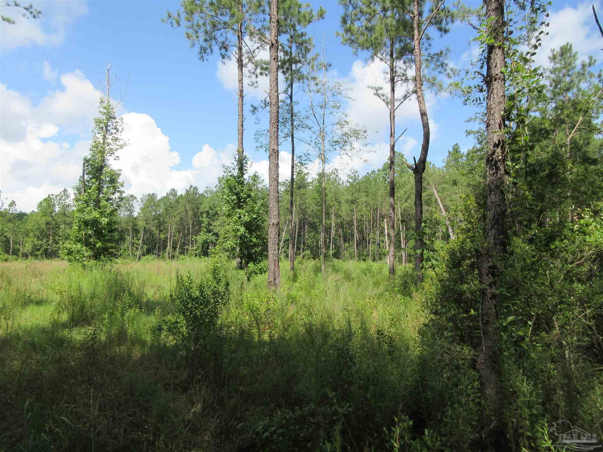9941 Chumuckla Springs Road Jay, FL 32565 - Photo 21 of 30