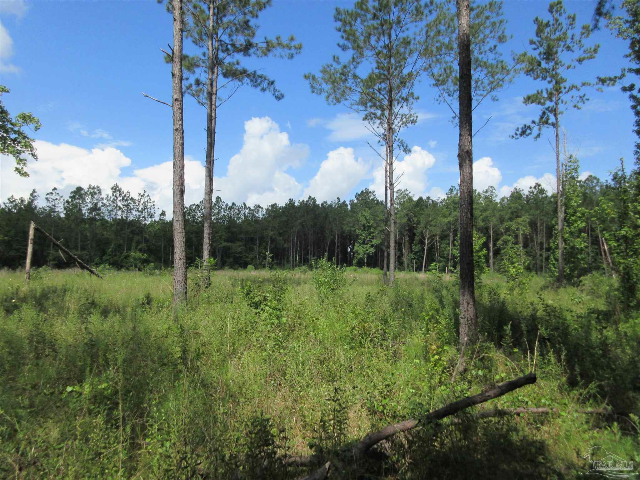 9941 Chumuckla Springs Road Jay, FL 32565 - Photo 22 of 30
