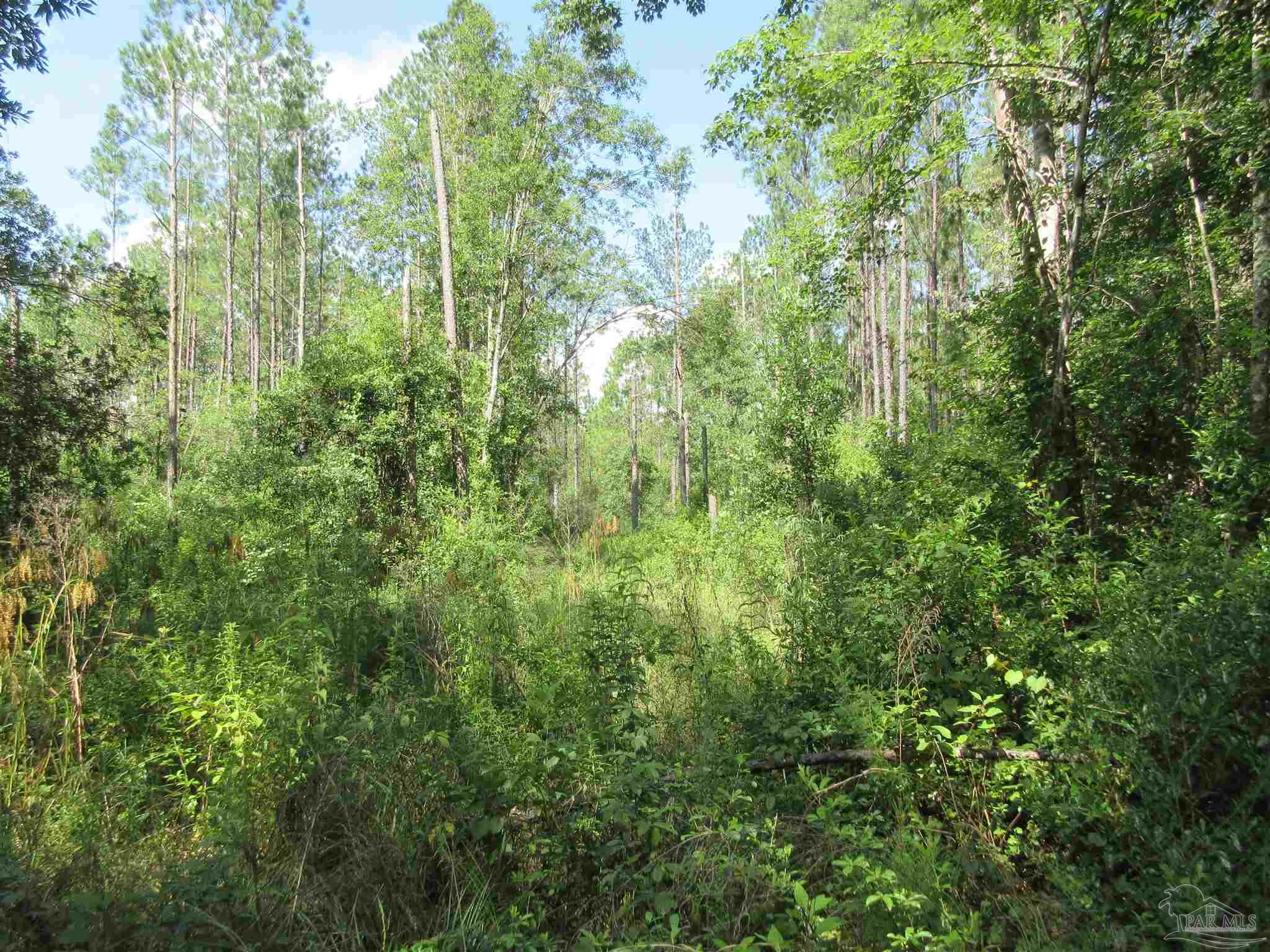 9941 Chumuckla Springs Road Jay, FL 32565 - Photo 23 of 30