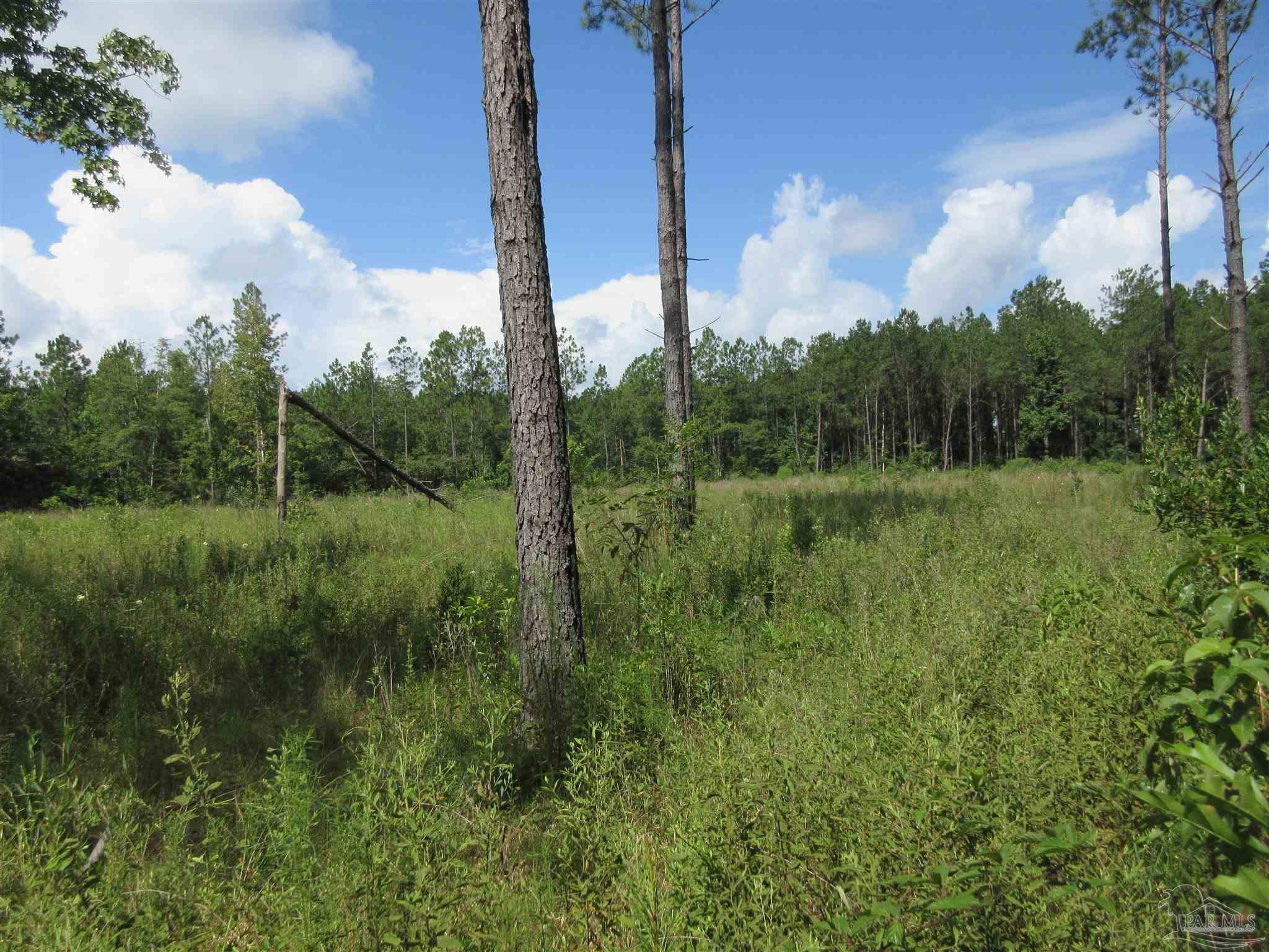 9941 Chumuckla Springs Road Jay, FL 32565 - Photo 24 of 30