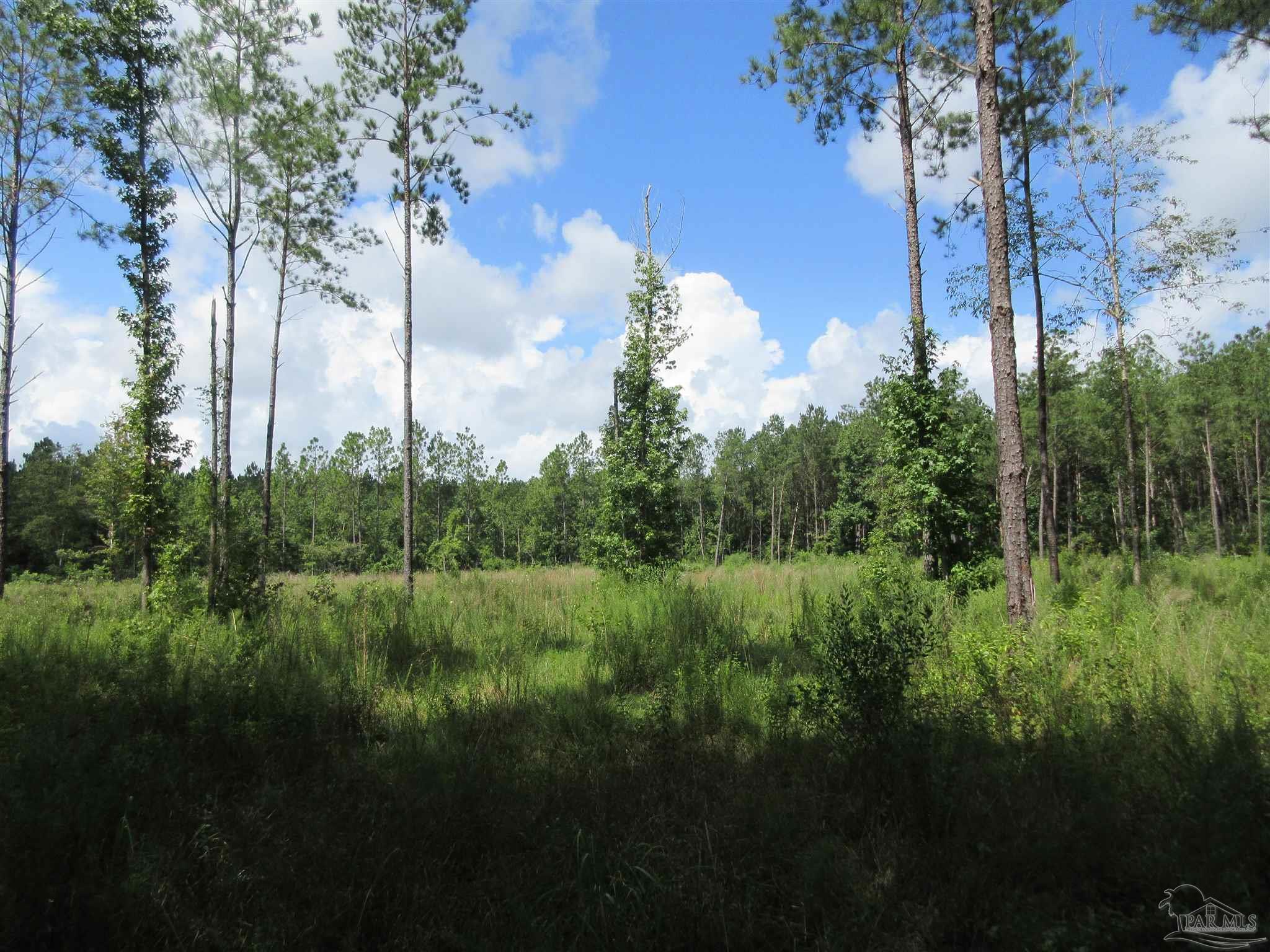 9941 Chumuckla Springs Road Jay, FL 32565 - Photo 25 of 30