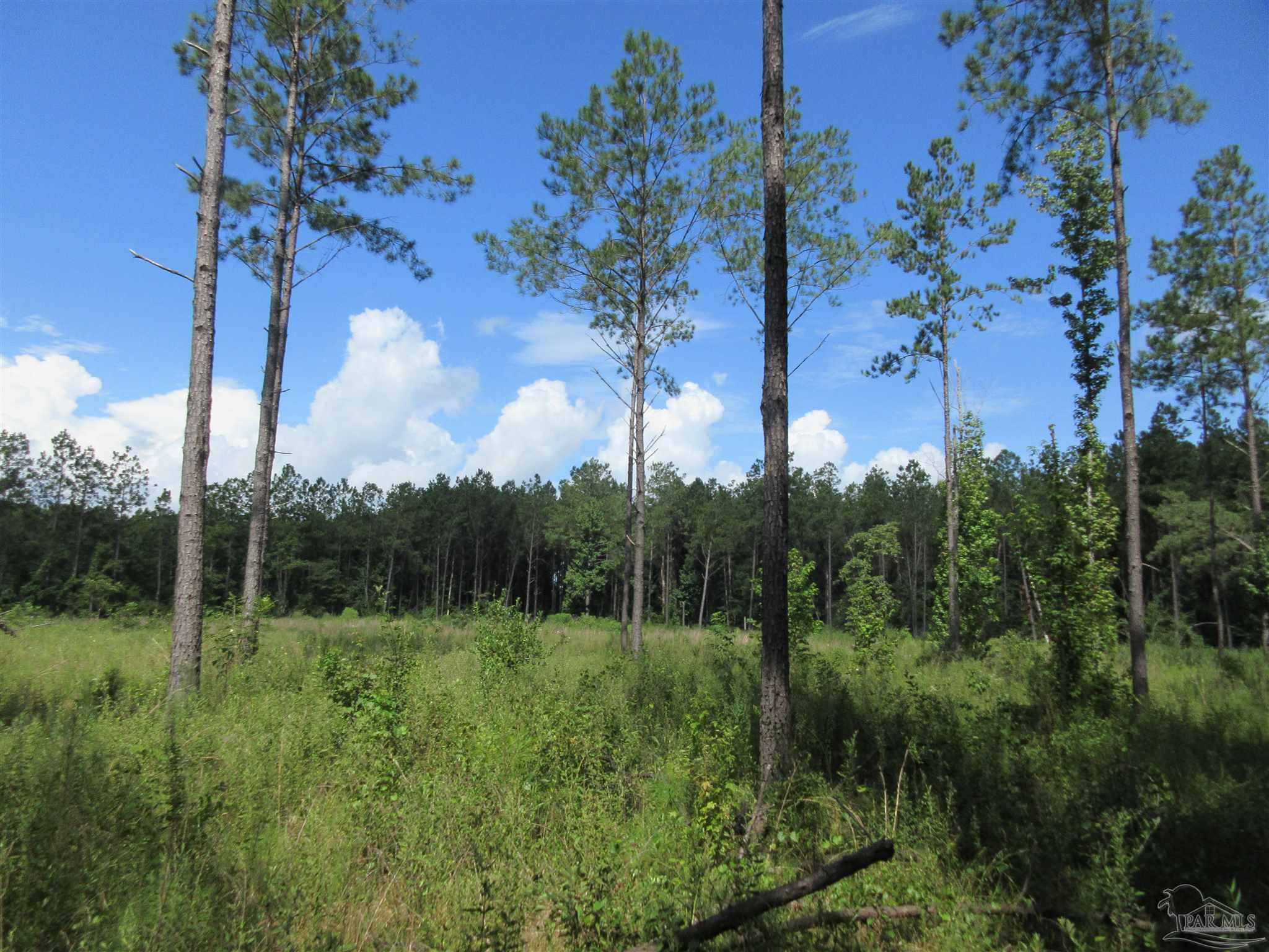9941 Chumuckla Springs Road Jay, FL 32565 - Photo 26 of 30