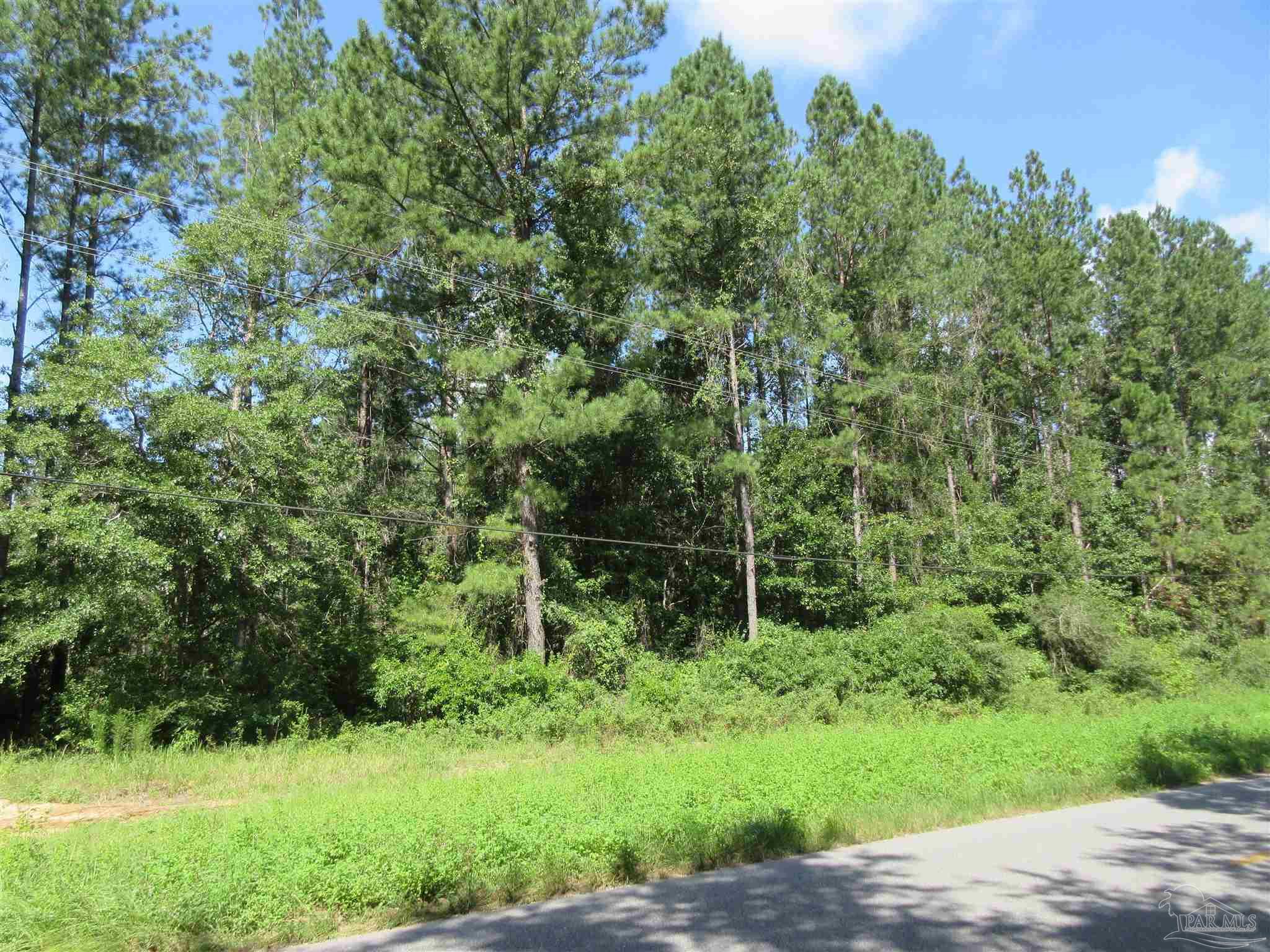 9941 Chumuckla Springs Road Jay, FL 32565 - Photo 27 of 30
