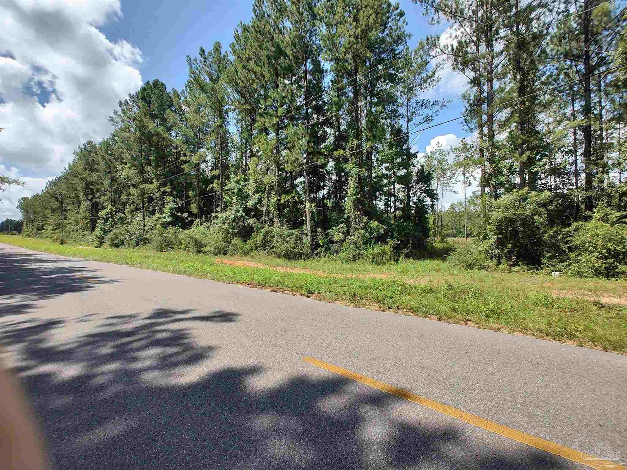 9941 Chumuckla Springs Road Jay, FL 32565 - Photo 28 of 30