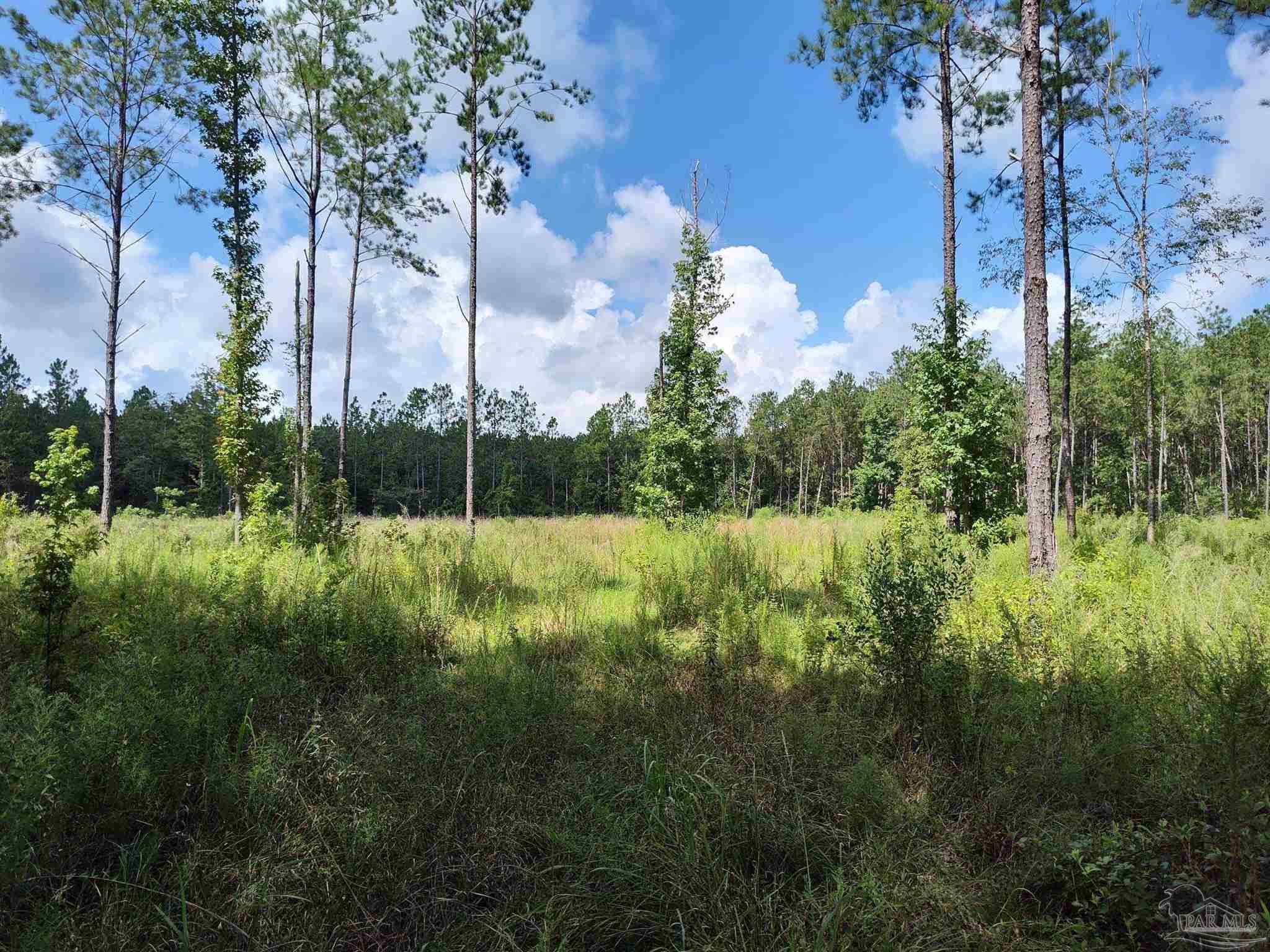 9941 Chumuckla Springs Road Jay, FL 32565 - Photo 29 of 30