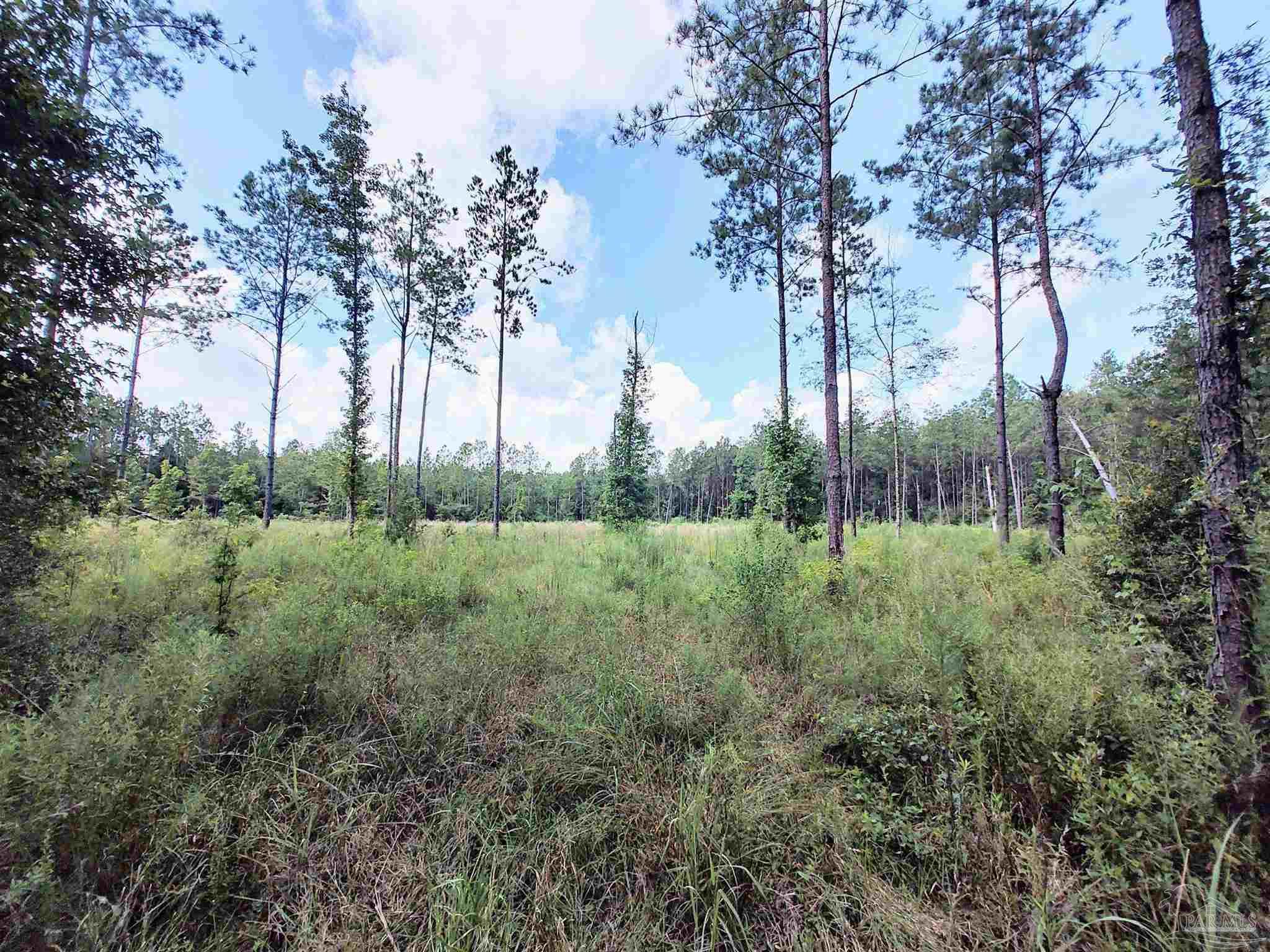 9941 Chumuckla Springs Road Jay, FL 32565 - Photo 30 of 30