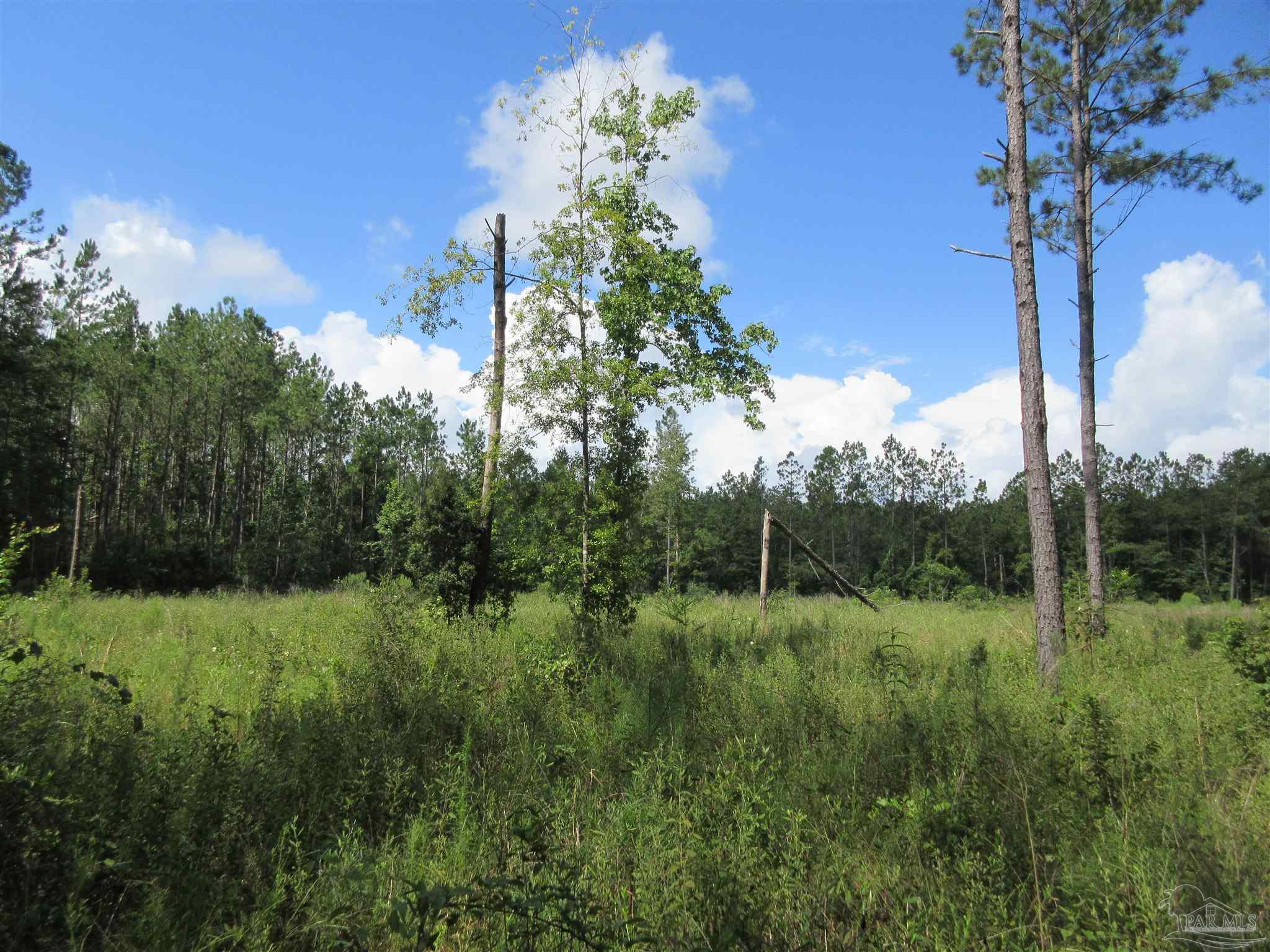 9941 Chumuckla Springs Road Jay, FL 32565 - Photo 4 of 30