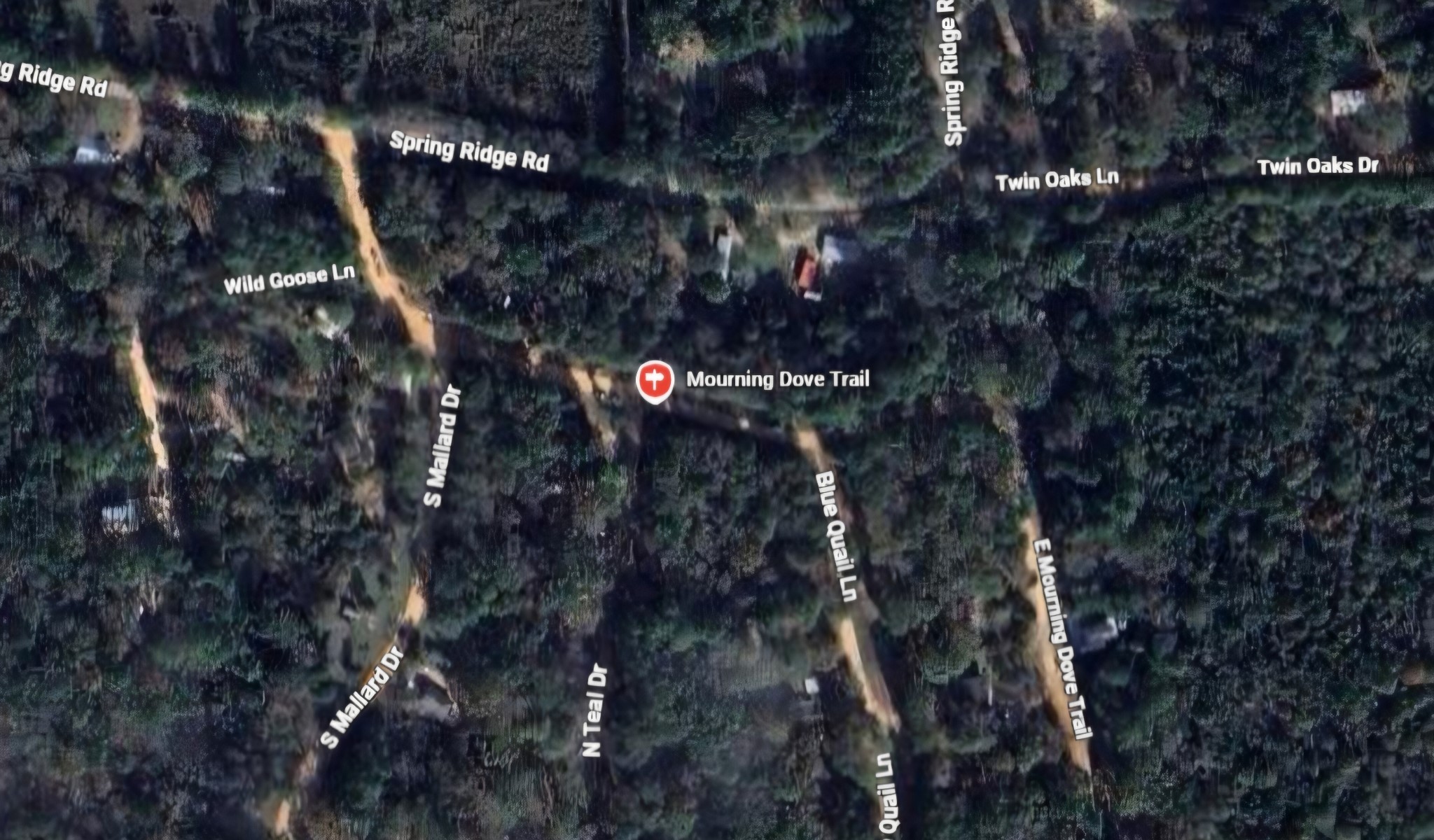 0 Mourning Dove Trail Coldspring, TX 77331 - Photo 2 of 3 a picture of tree