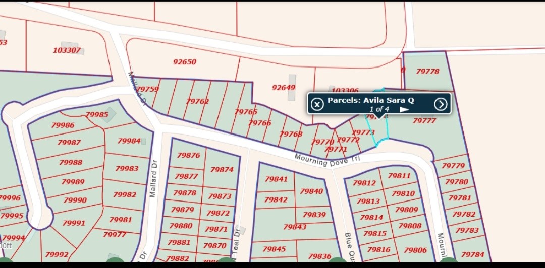 0 Mourning Dove Trail Coldspring, TX 77331 - Photo 3 of 3 unknown