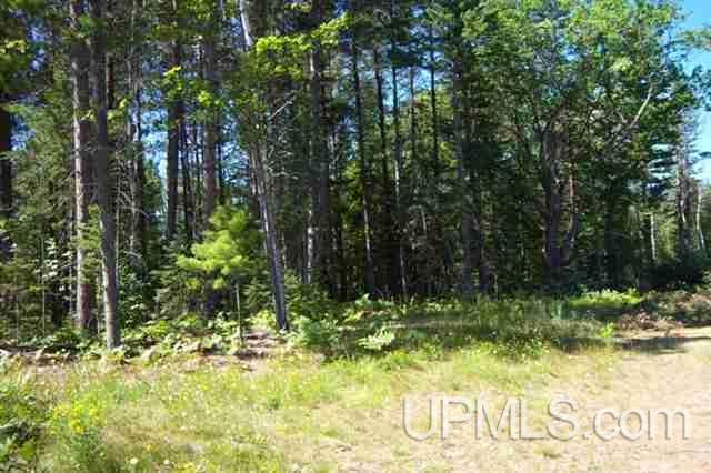 1011 North Co Road Gwinn, MI 49841 - Photo 2 of 2