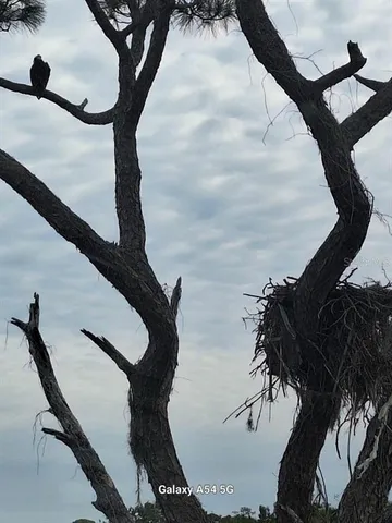 $3,500 | 7930 34th Avenue West, Unit 202, Bradenton, FL 34209