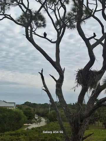 $3,500 | 7930 34th Avenue West, Unit 202, Bradenton, FL 34209