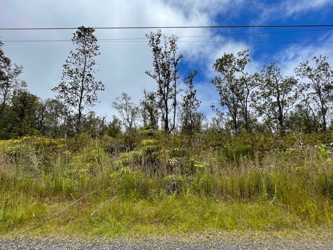 28 Uluhemalu Road Mountain View, HI 96771 - Photo 3 of 4 Gallery Image 3