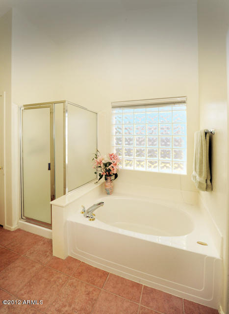 100 South Ranchos Legante Drive Gilbert, AZ 85296 - Photo 11 of 30 Master Bathroom
