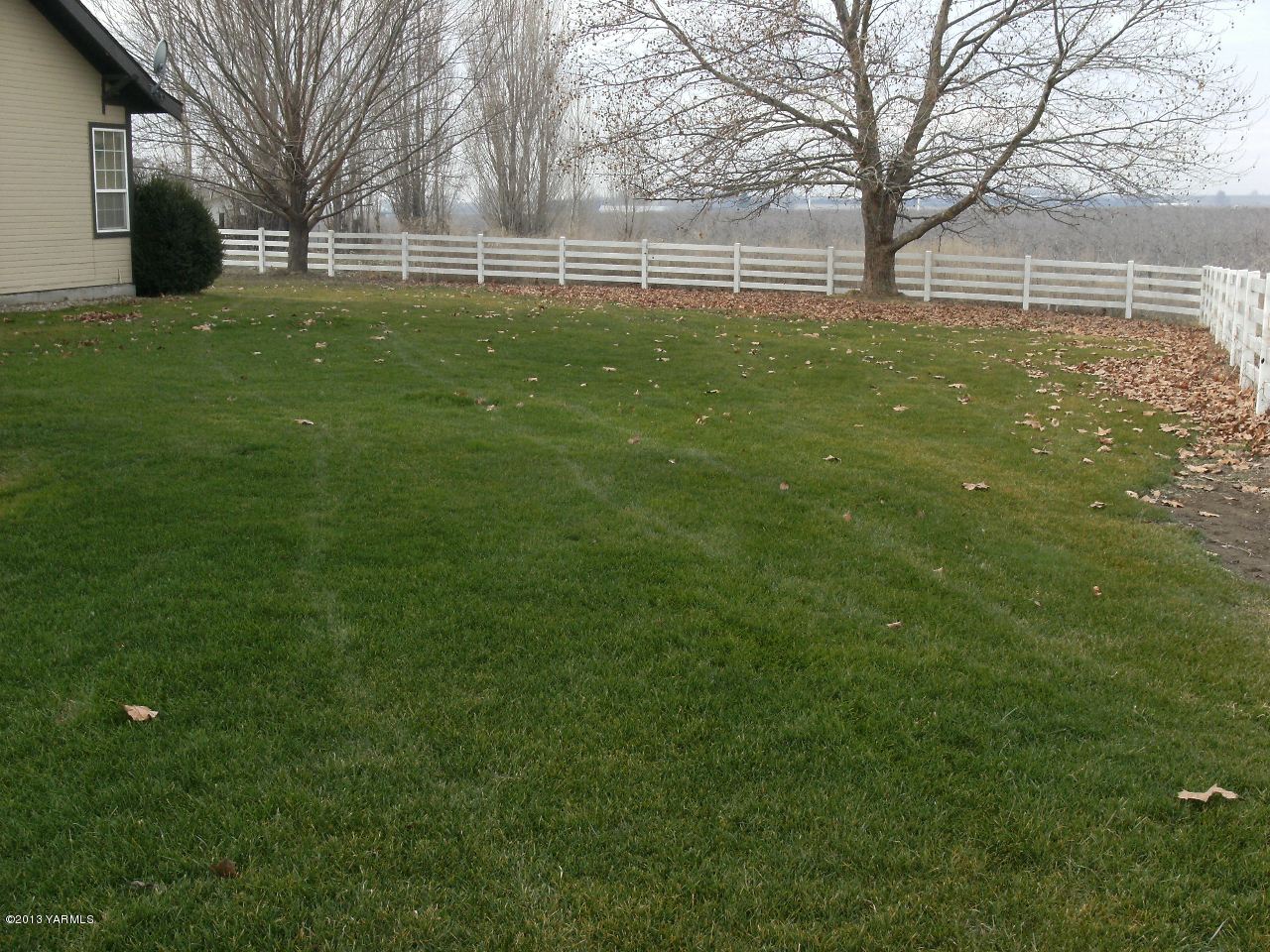 3313 Independence Road Sunnyside, WA 98944 - Photo 11 of 11 a view of yard with trees