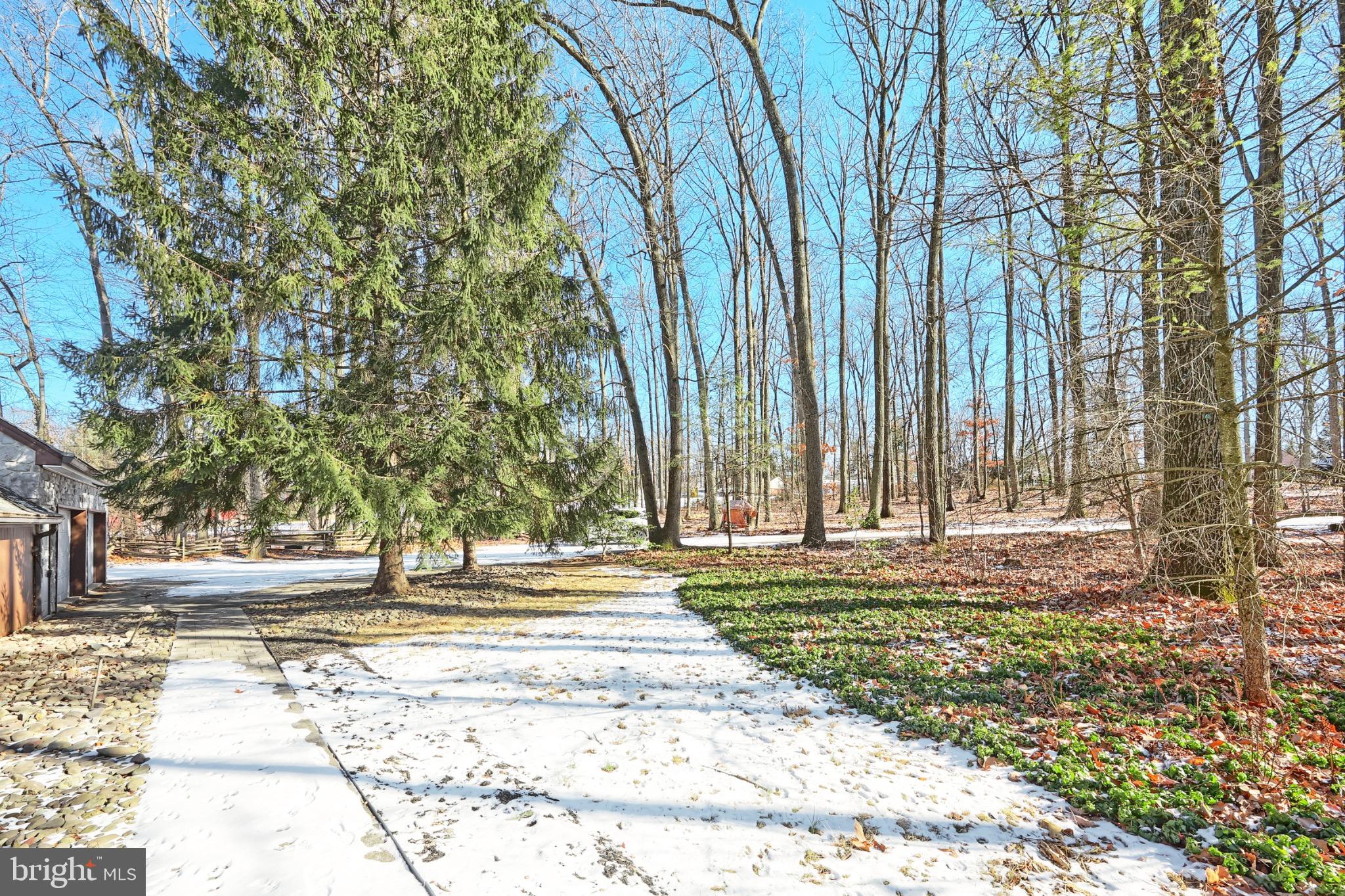 4205 Grandview Road Hanover, PA 17331 - Photo 14 of 70 Serene winter landscape with lush greenery.