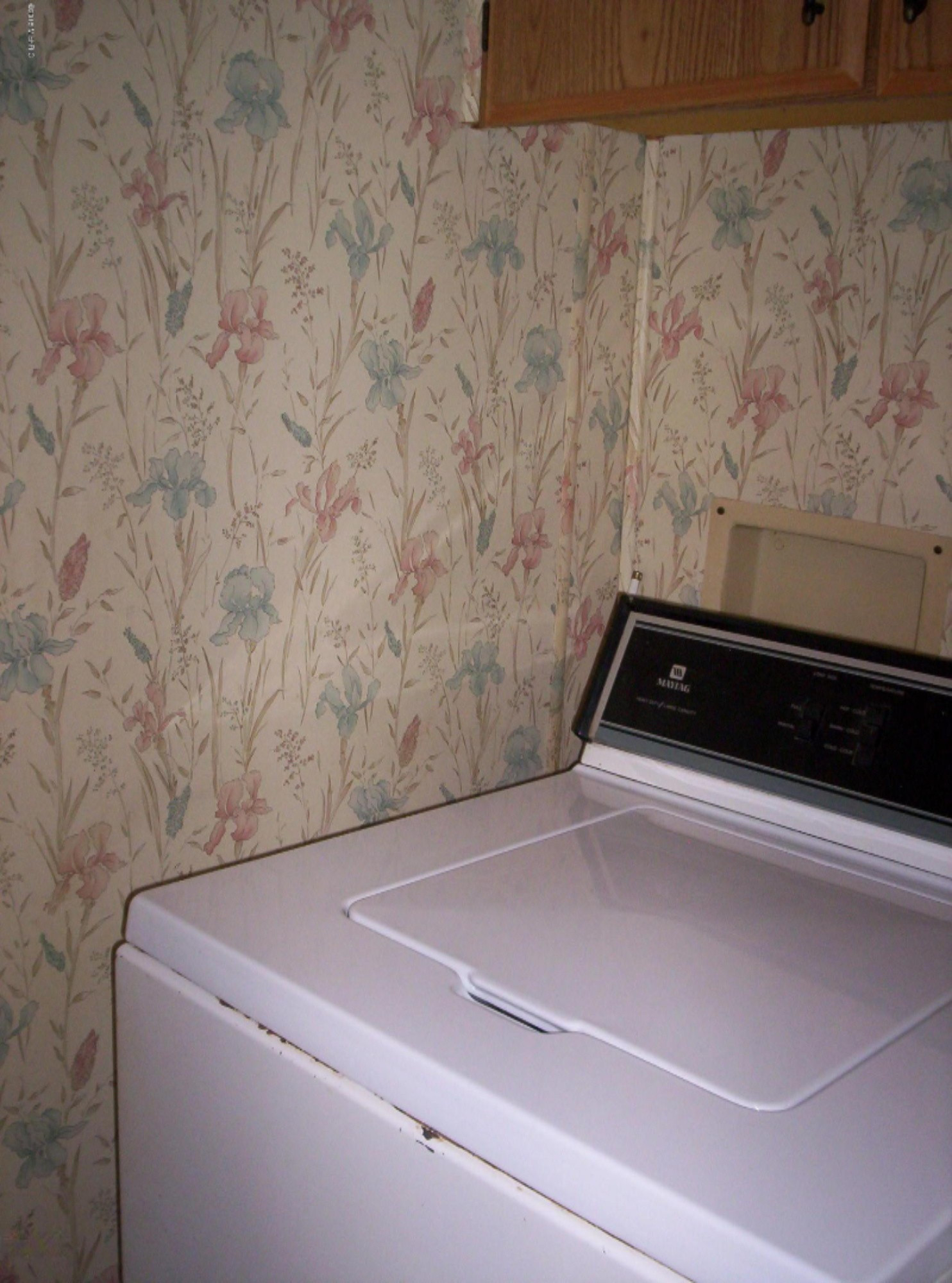 2238 West Hansen Road Sidney, MI 48885 - Photo 11 of 11 Main floor Laundry