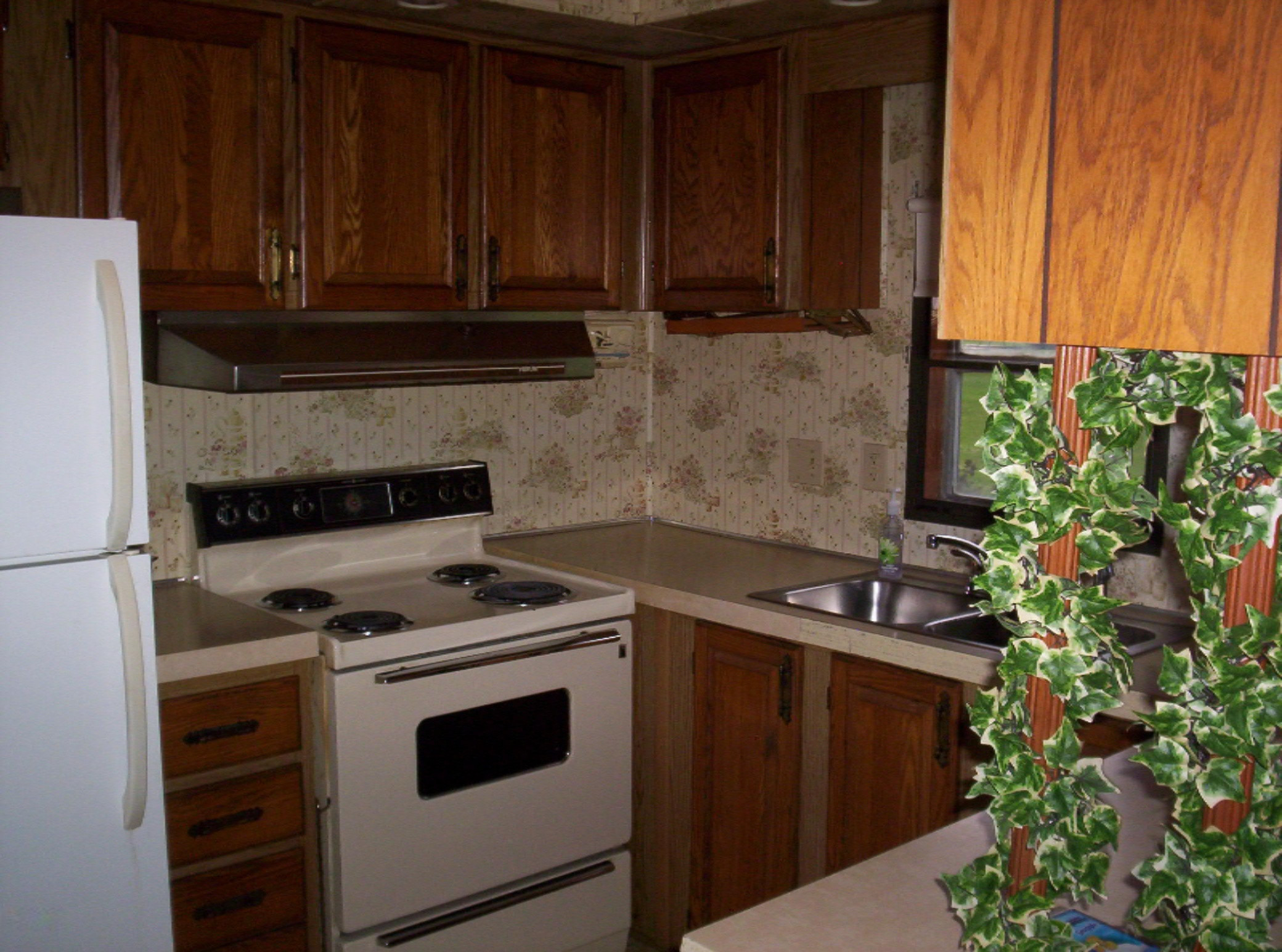 2238 West Hansen Road Sidney, MI 48885 - Photo 3 of 11 Kitchen W Appliances