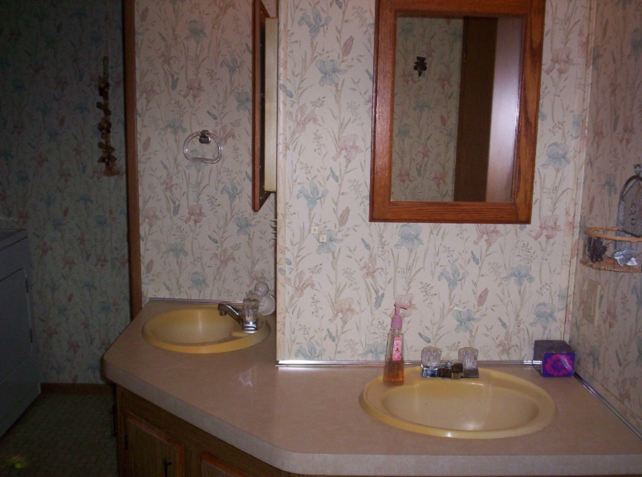 2238 West Hansen Road Sidney, MI 48885 - Photo 8 of 11 Double Sink In Full Bath