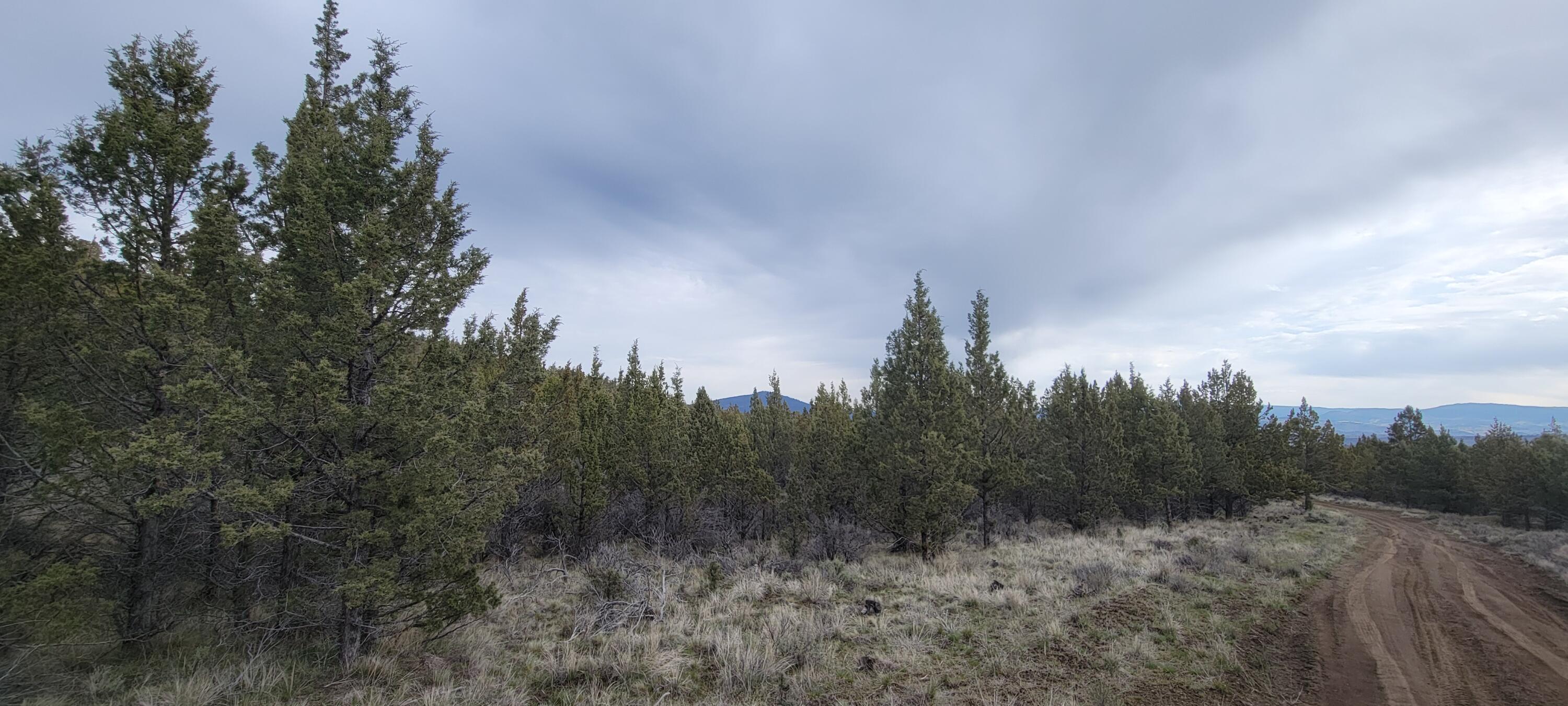 1500 Southeast Osprey Road, Unit 62 Prineville, OR 97754 - Photo 20 of 26 Road 07