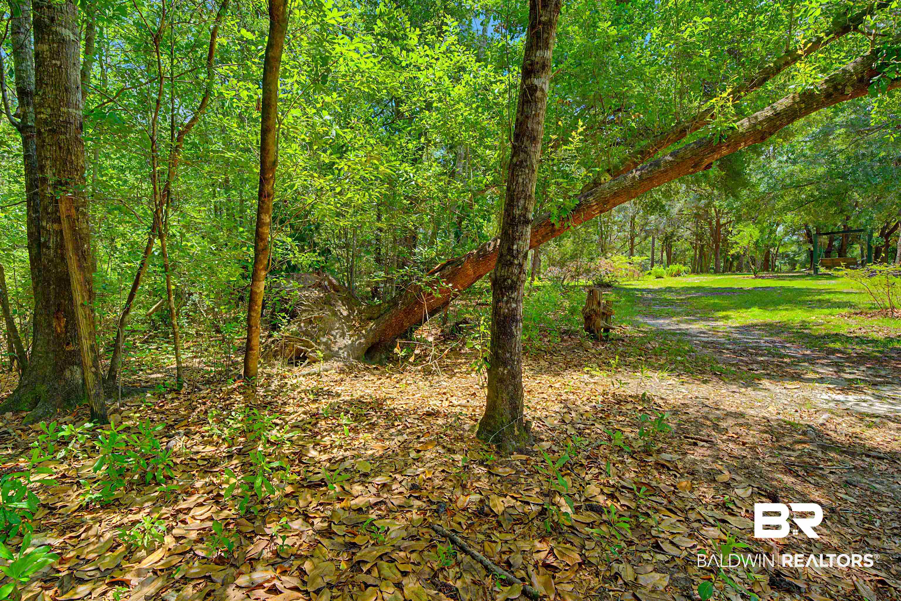 22963 Highway 98 Foley, AL 36535 - Photo 48 of 52 Wooded parcel featuring mature trees, natural ground cover, and a cleared path leading to an open grassy area