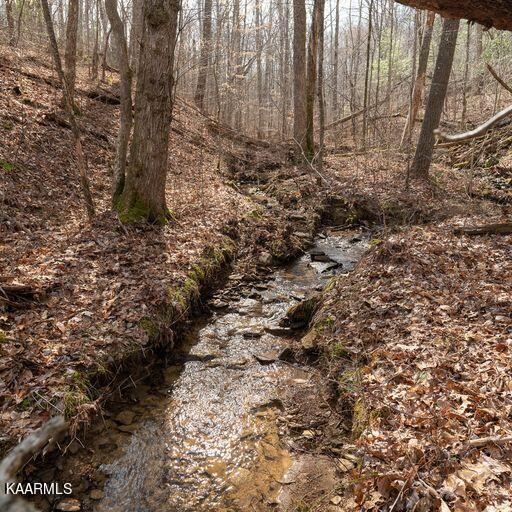 Brewstertown Road Sunbright, TN 37872 - Photo 3 of 16 image
